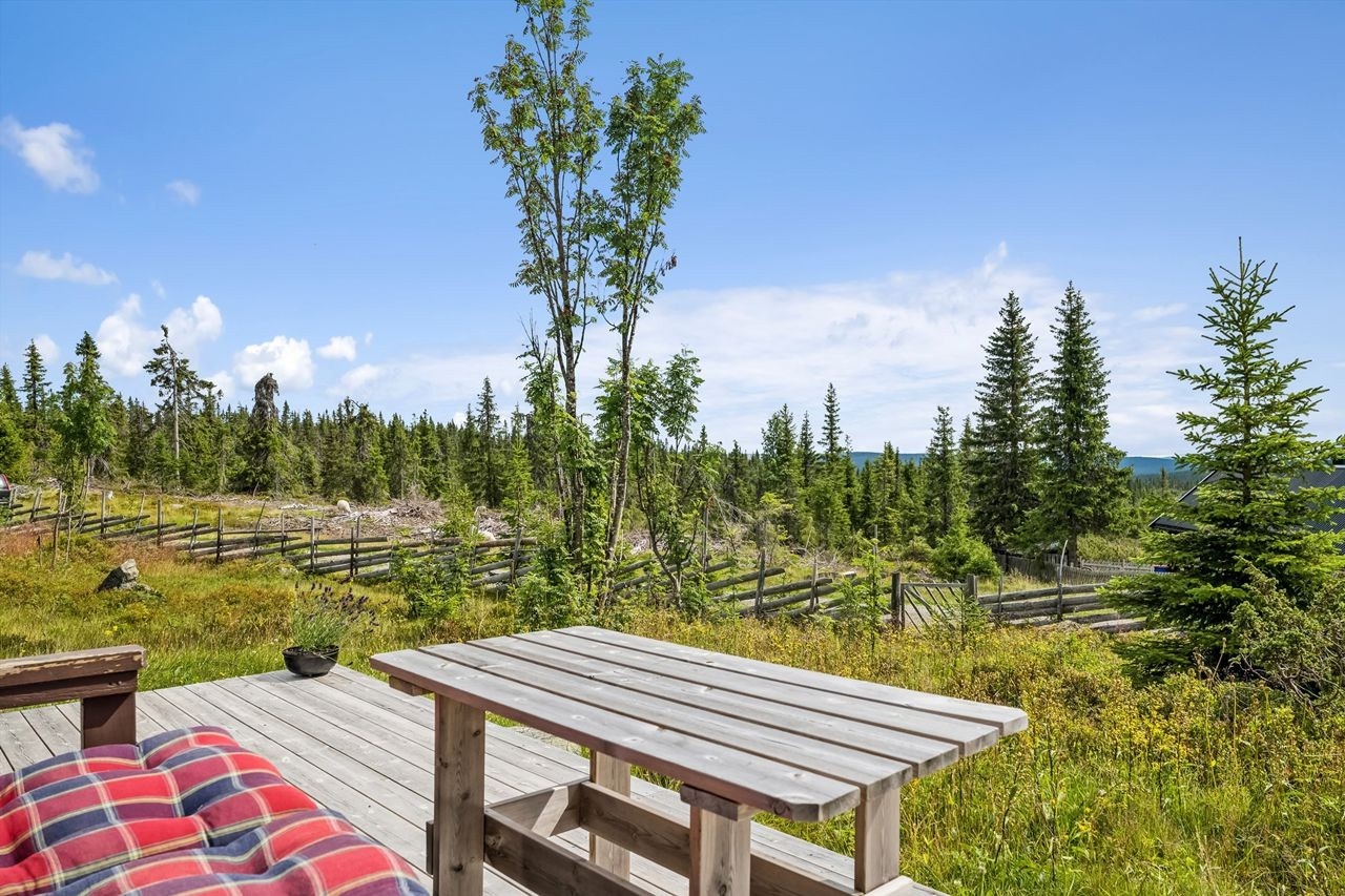 Området rundt hytta består av naturtomt og er innhegnet. Galleribilde