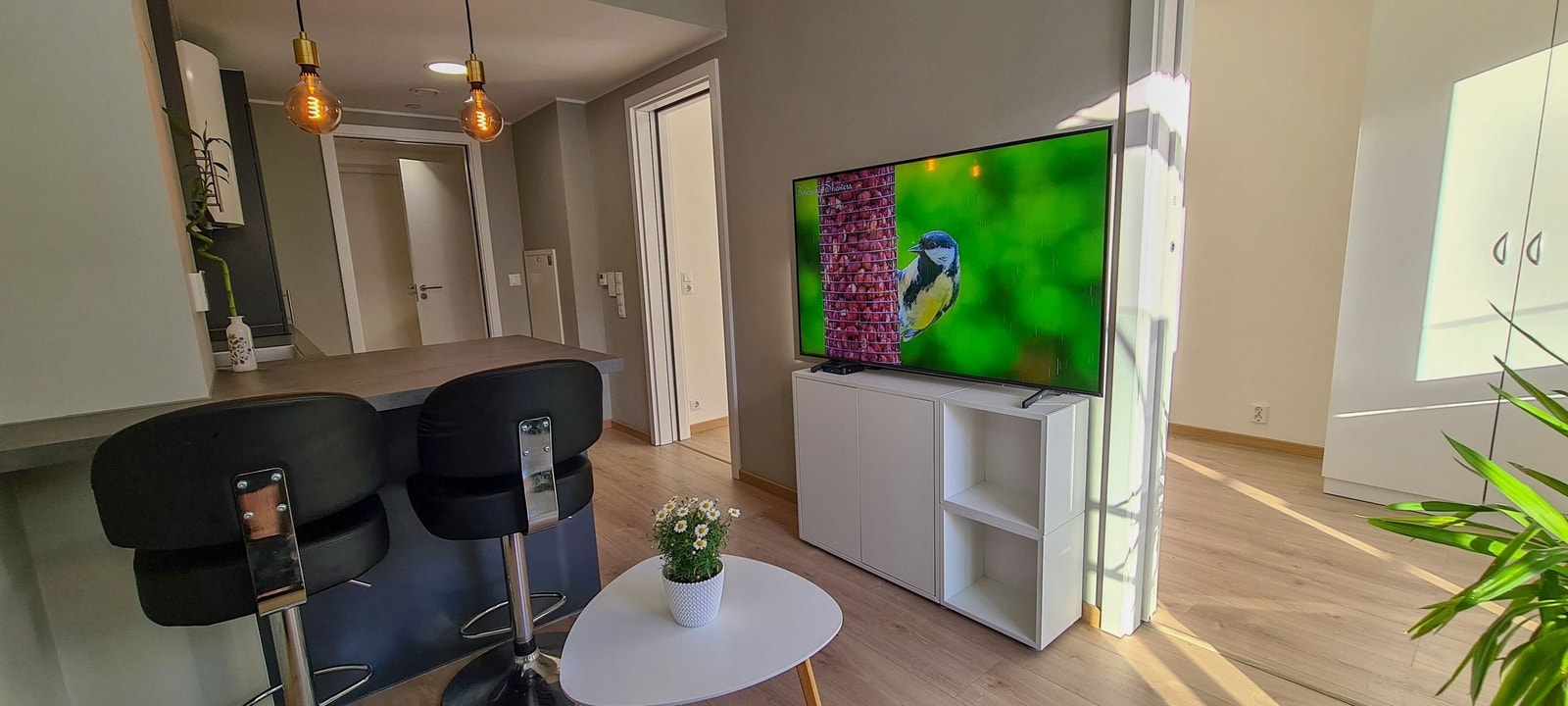 Romslig stue med plass til sofa, TV-benk og grøntplanter. Galleribilde