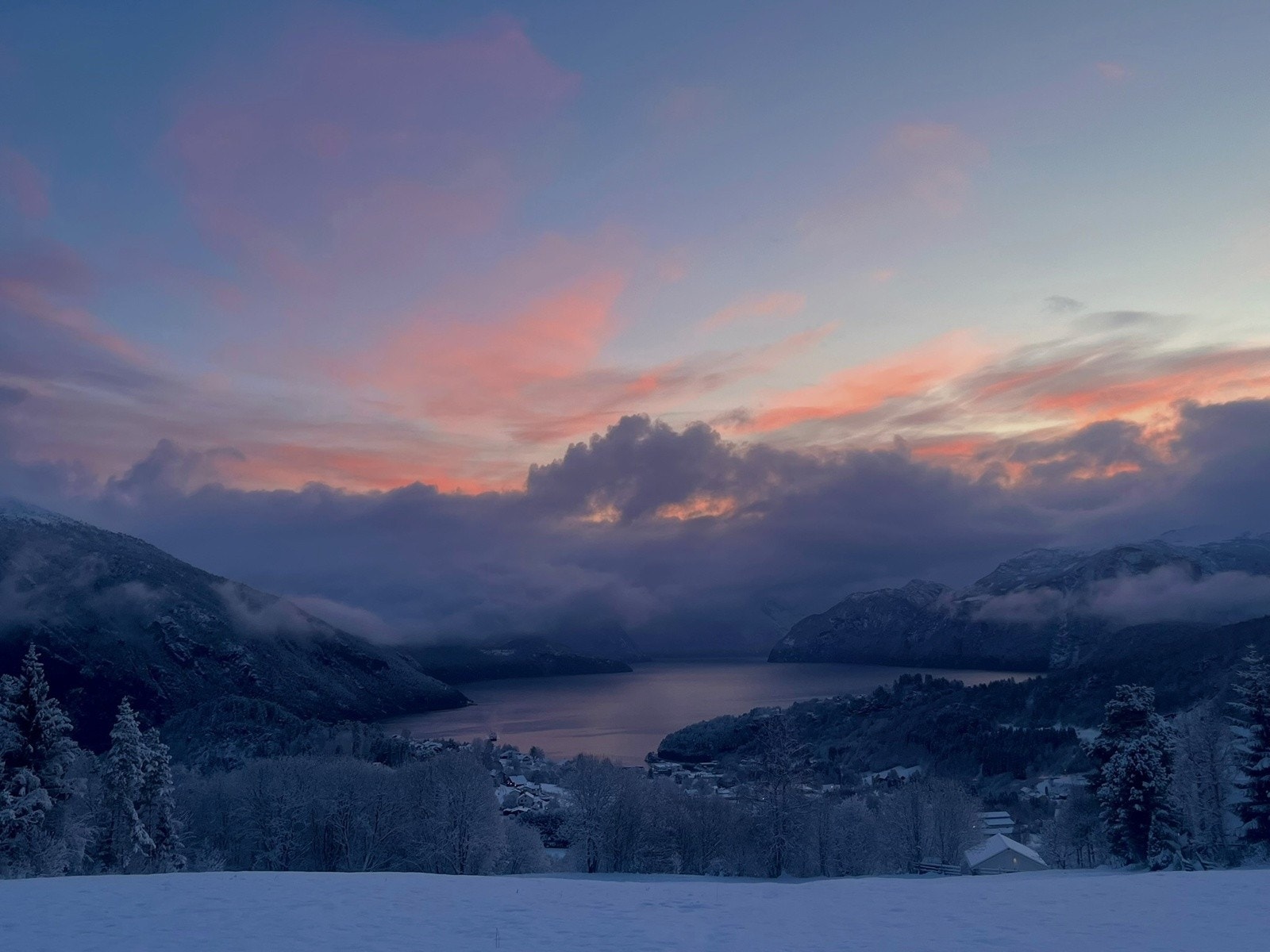 Selgers bilder Galleribilde