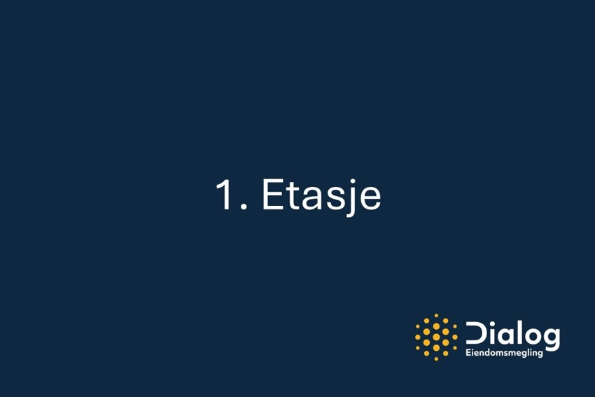 Lysbilde4 Galleribilde