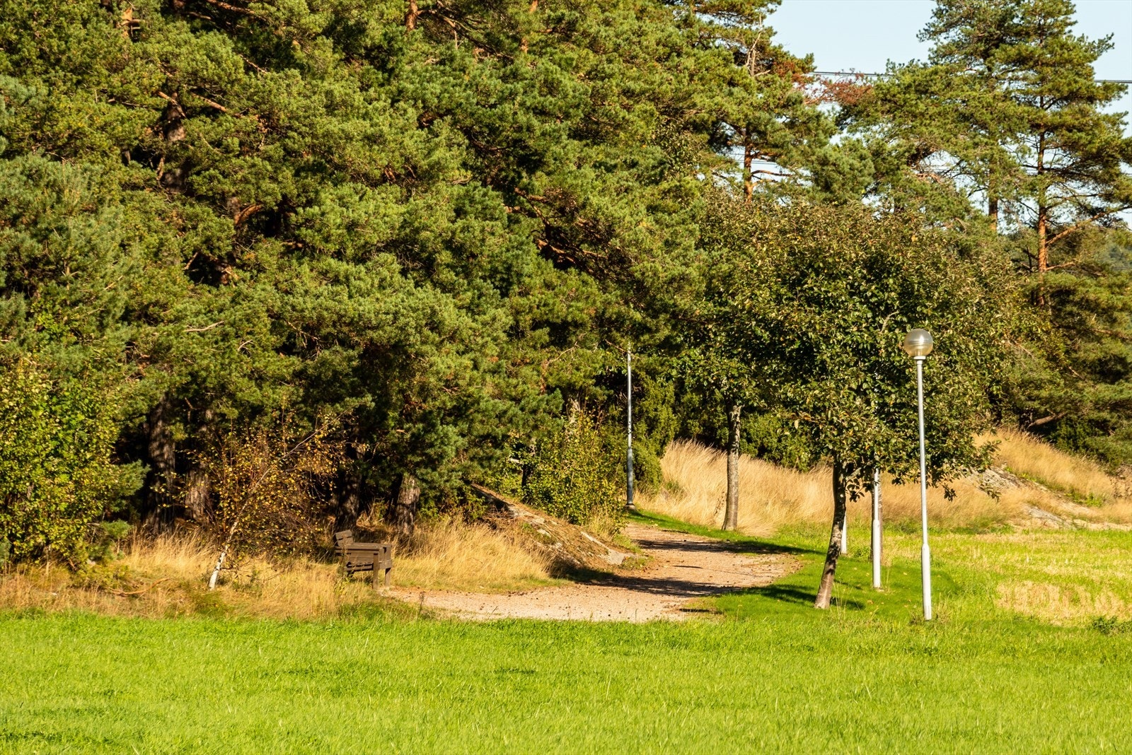 Gangvei gjennom grøntområde gir mulighet for naturskjønne turer. Galleribilde