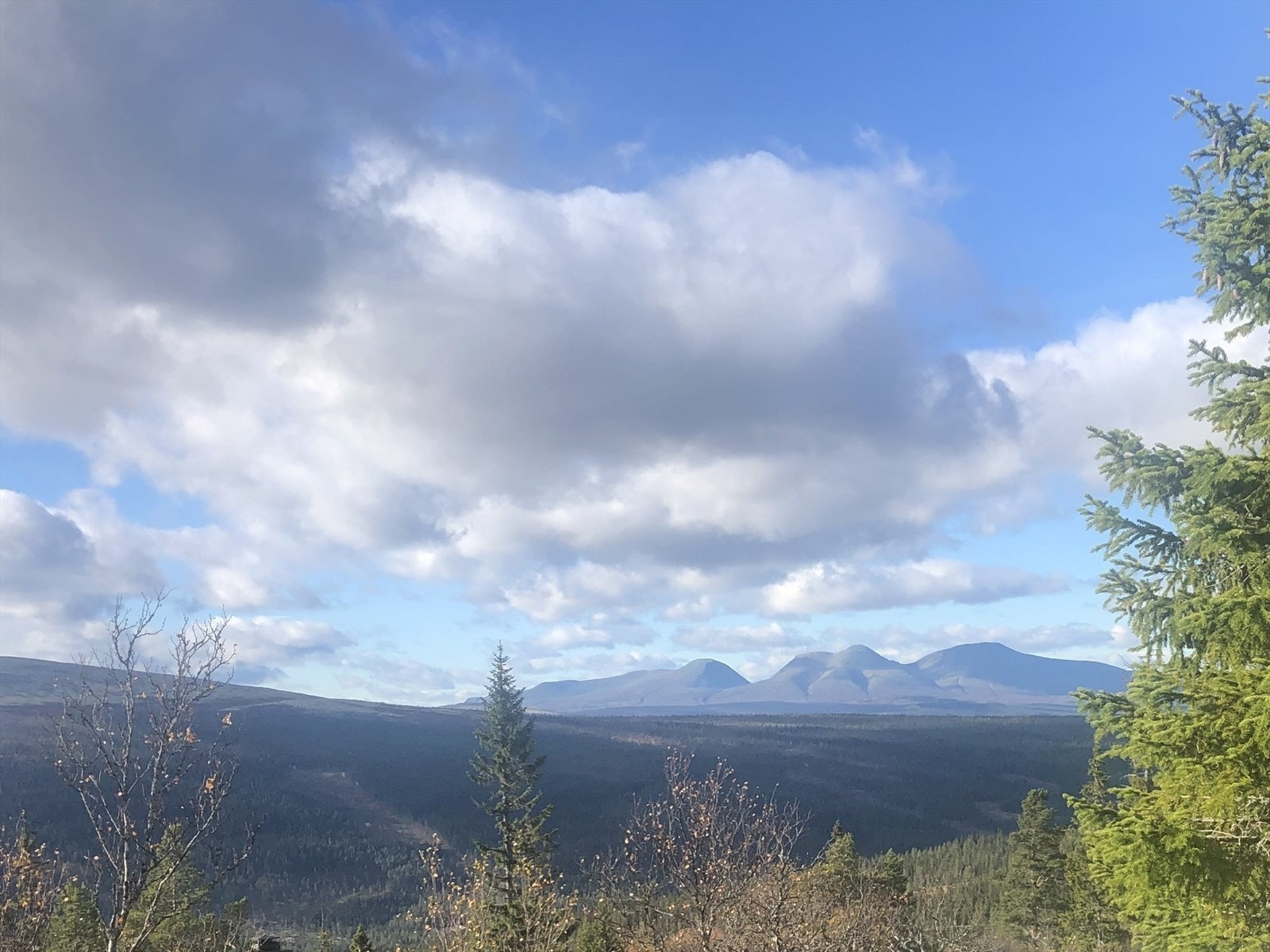 Utsiktsbilde på høsten mot Sølen. Galleribilde