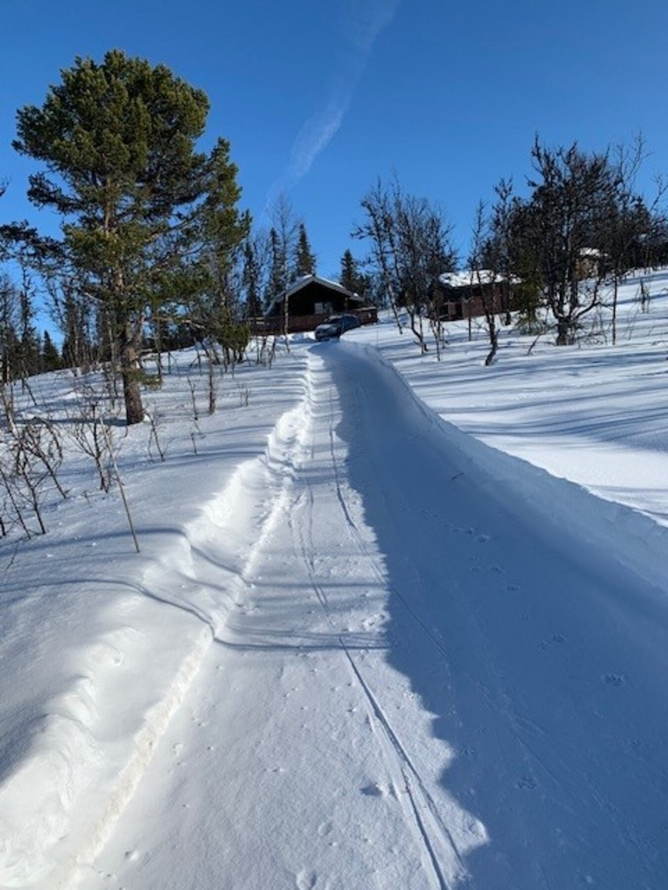 Selgers private bilde - Veien opp til hytta, hvor skiløypen krysser Galleribilde
