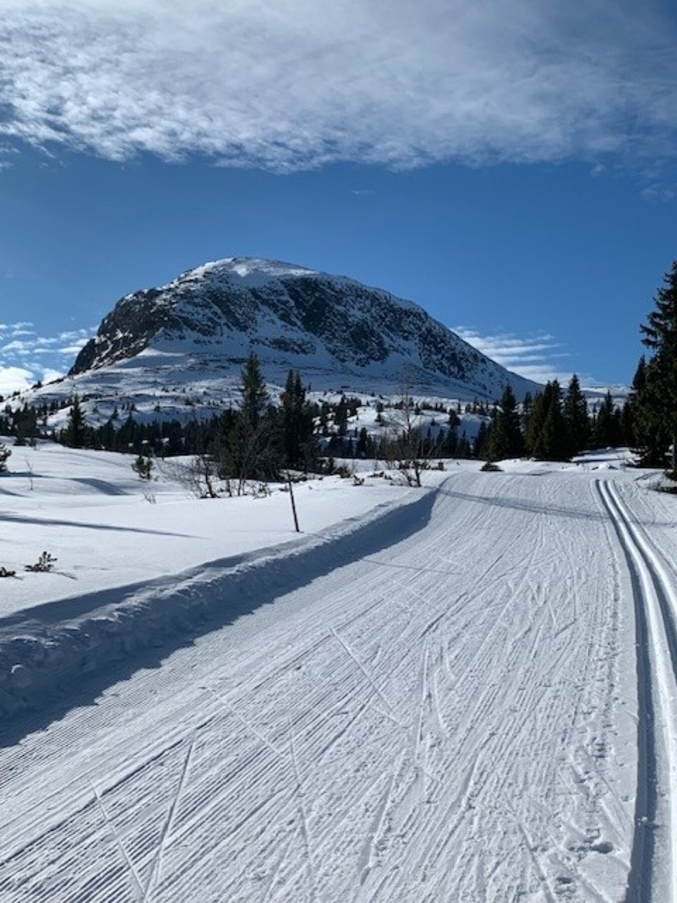 Selgers private bilde. Flotte skiløyper kun 50 meter fra eiendommen Galleribilde