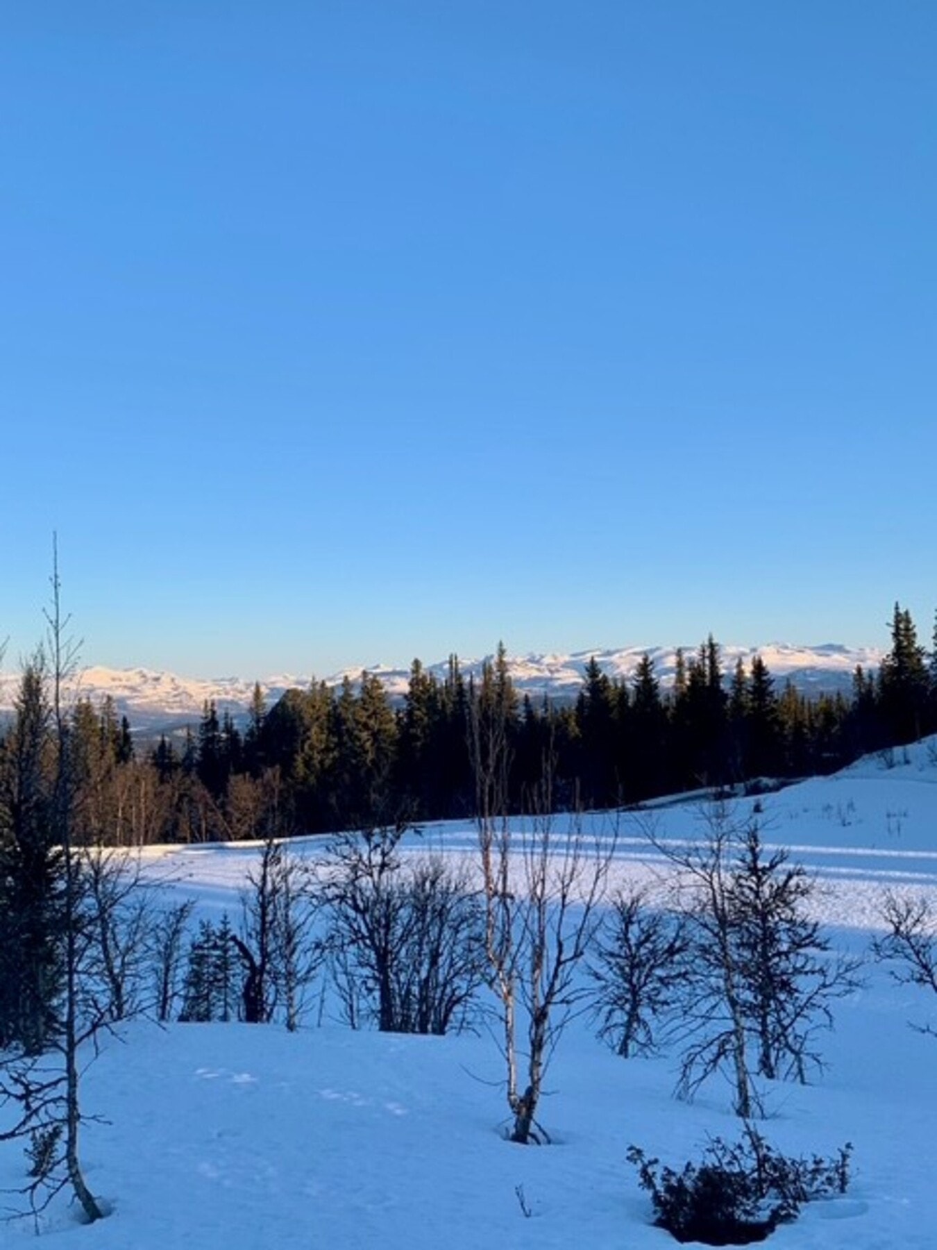 Selgers private bilde - Morgenstemning fra kjøkkenvindu Galleribilde