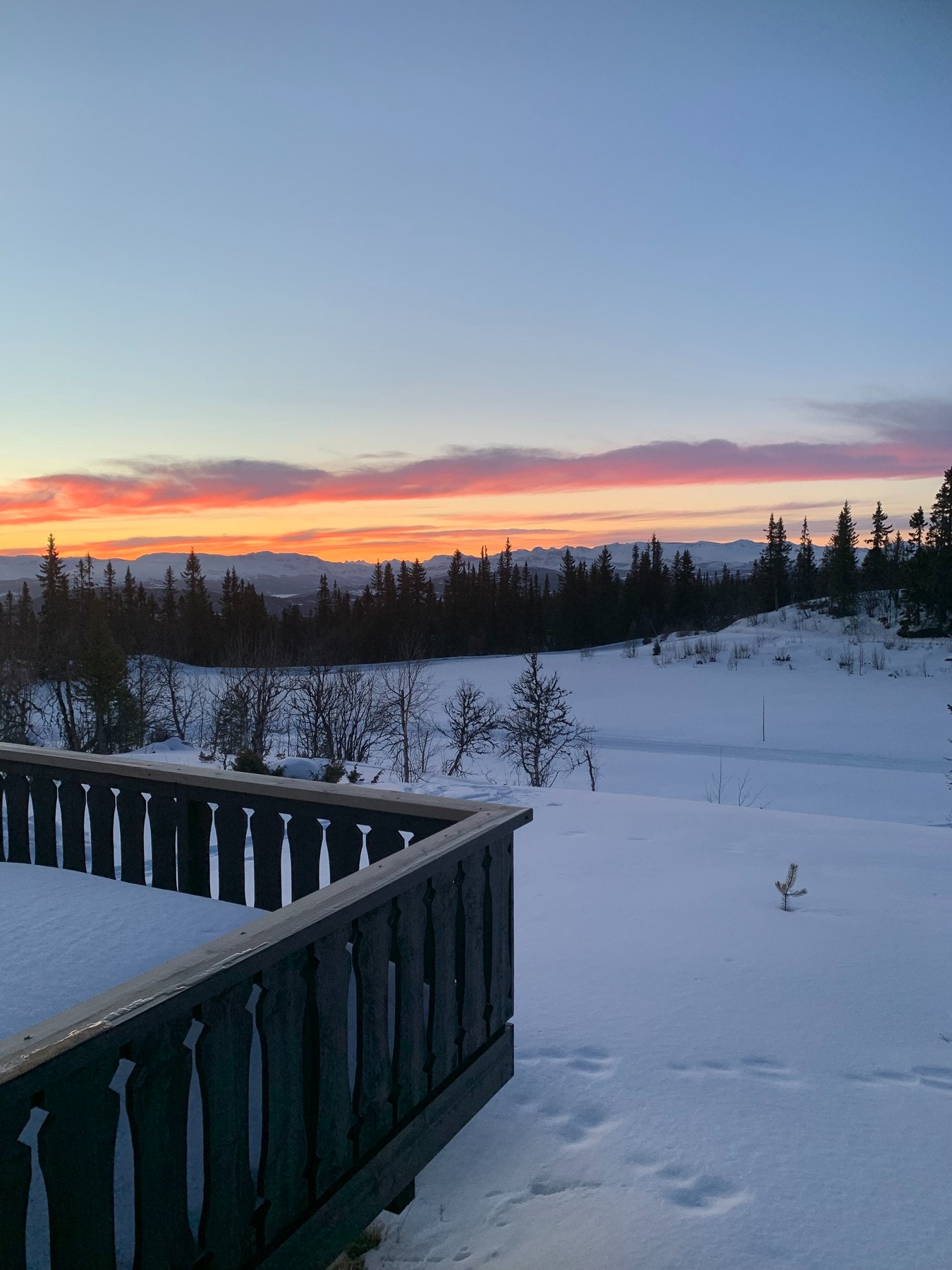 Vinteren er også fin - bilde fra selgers arkiv Galleribilde