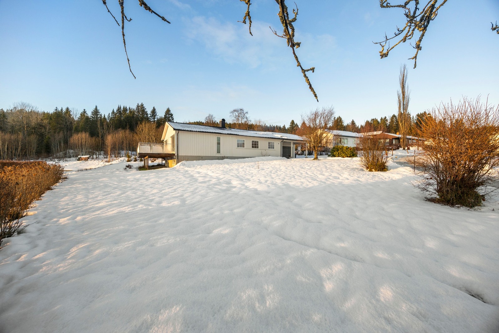 Rikelig med boltreplass for både store og små i eiendommens hage. Galleribilde