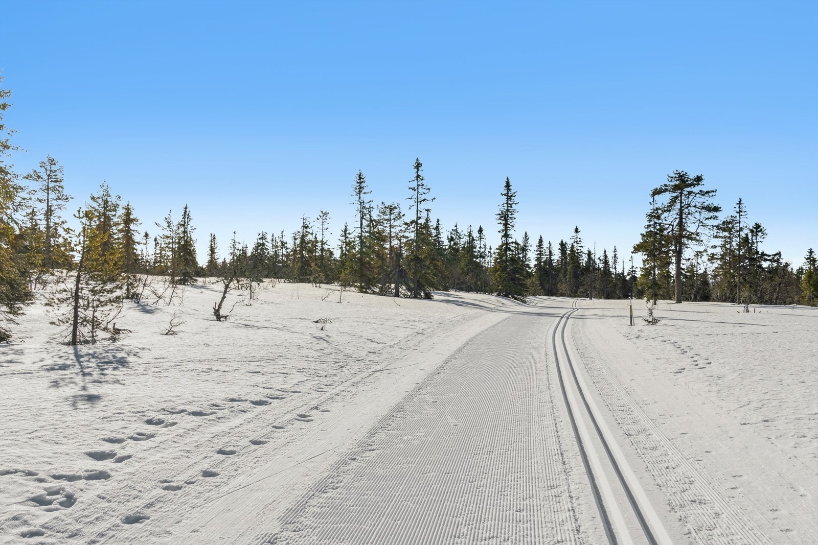 Flotte opparbeidede skispor Galleribilde