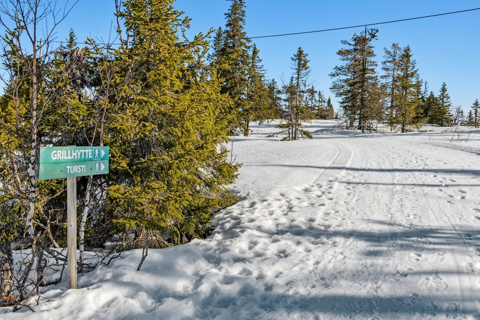 Turløyper i nærheten, både sommer som vinter. Galleribilde
