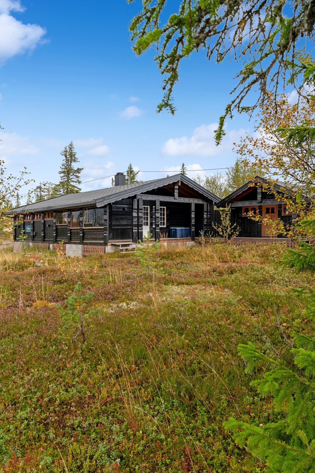 Velkommen til visning! Galleribilde