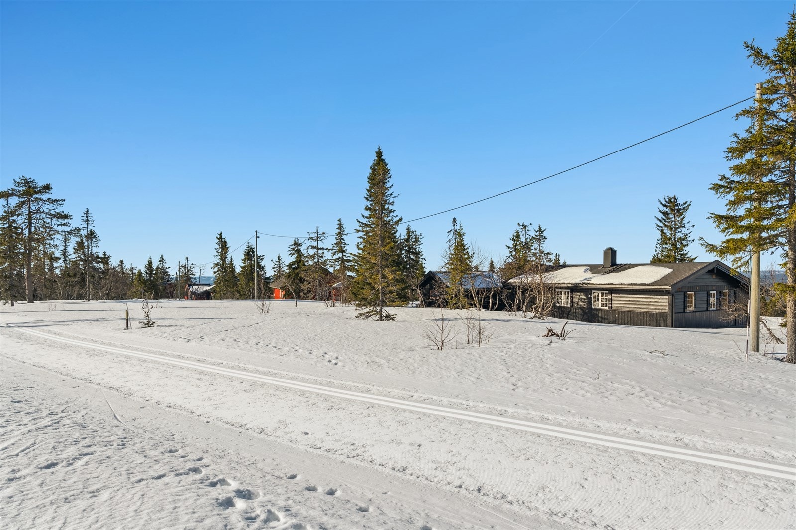 Skiløypene går rett på baksiden av hytta, her er det bare å spenne på seg skiene og gå. Galleribilde