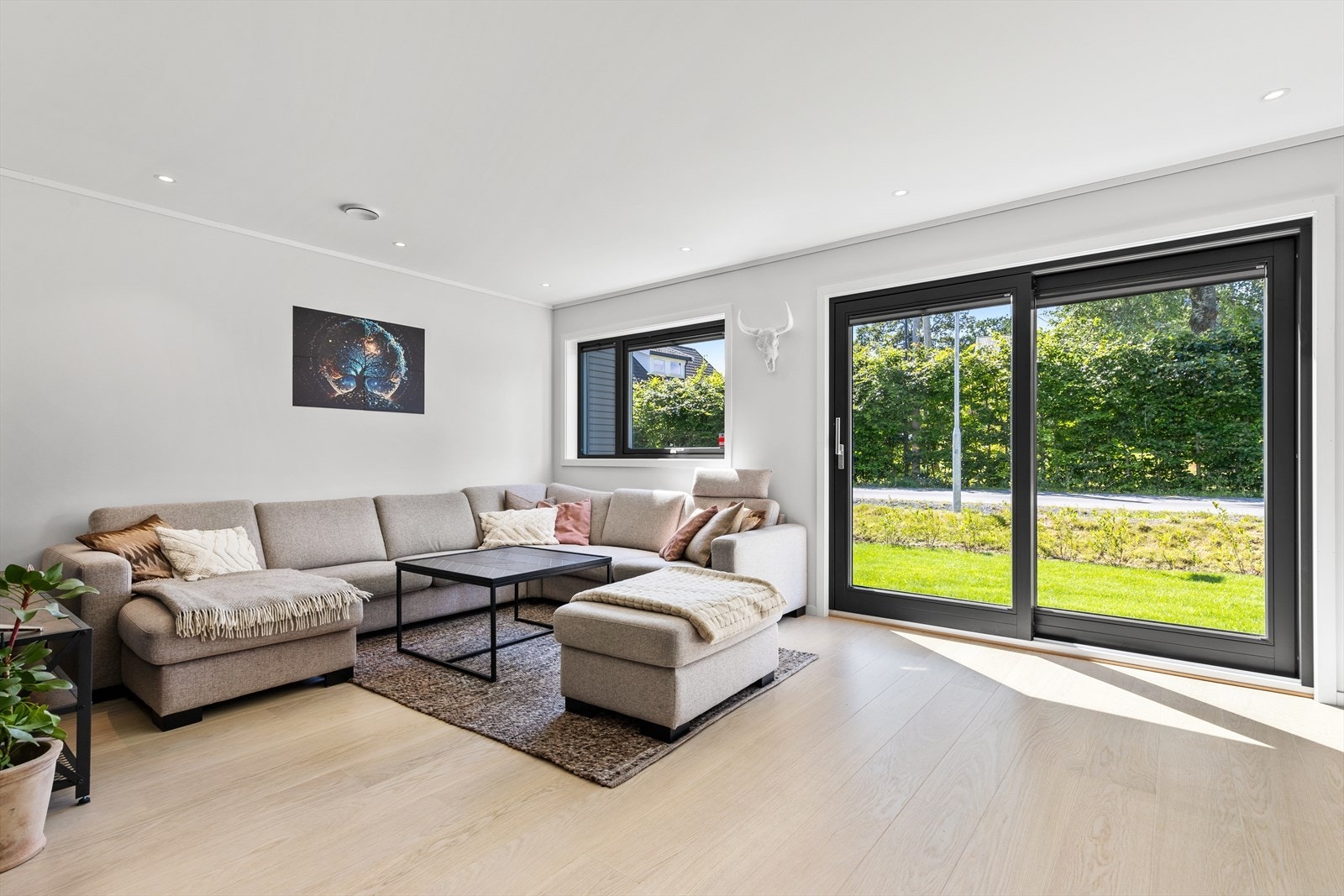 De store vindusflatene gir godt med naturlig lysinnslipp. Galleribilde