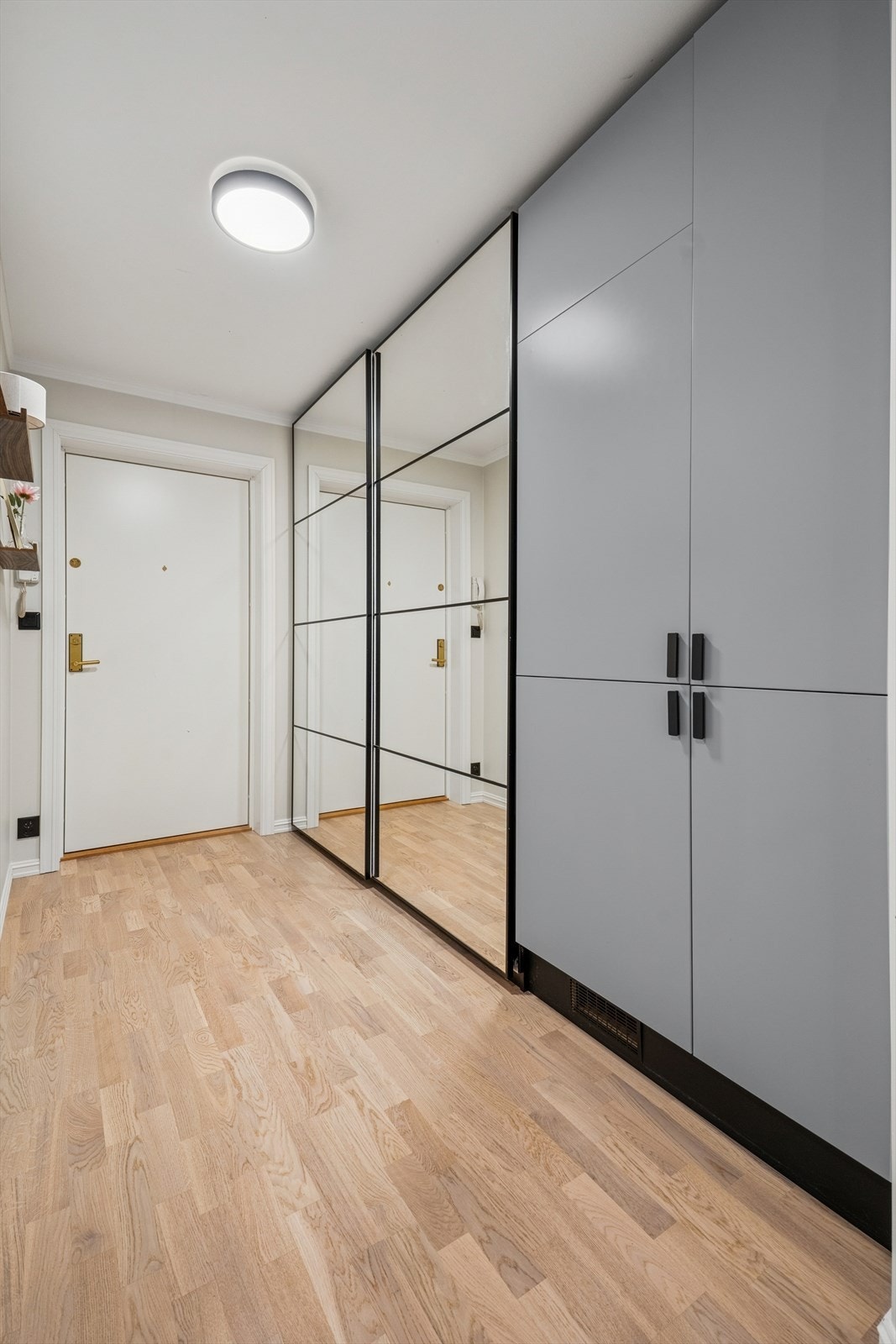 Inngangsdør med brann- og lydisolering. Galleribilde