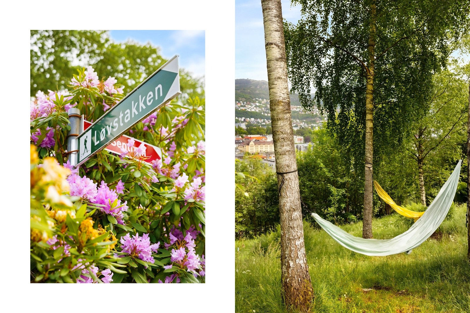 Den nye flotte turstien ved Løvstien starter like bak byggene! Galleribilde