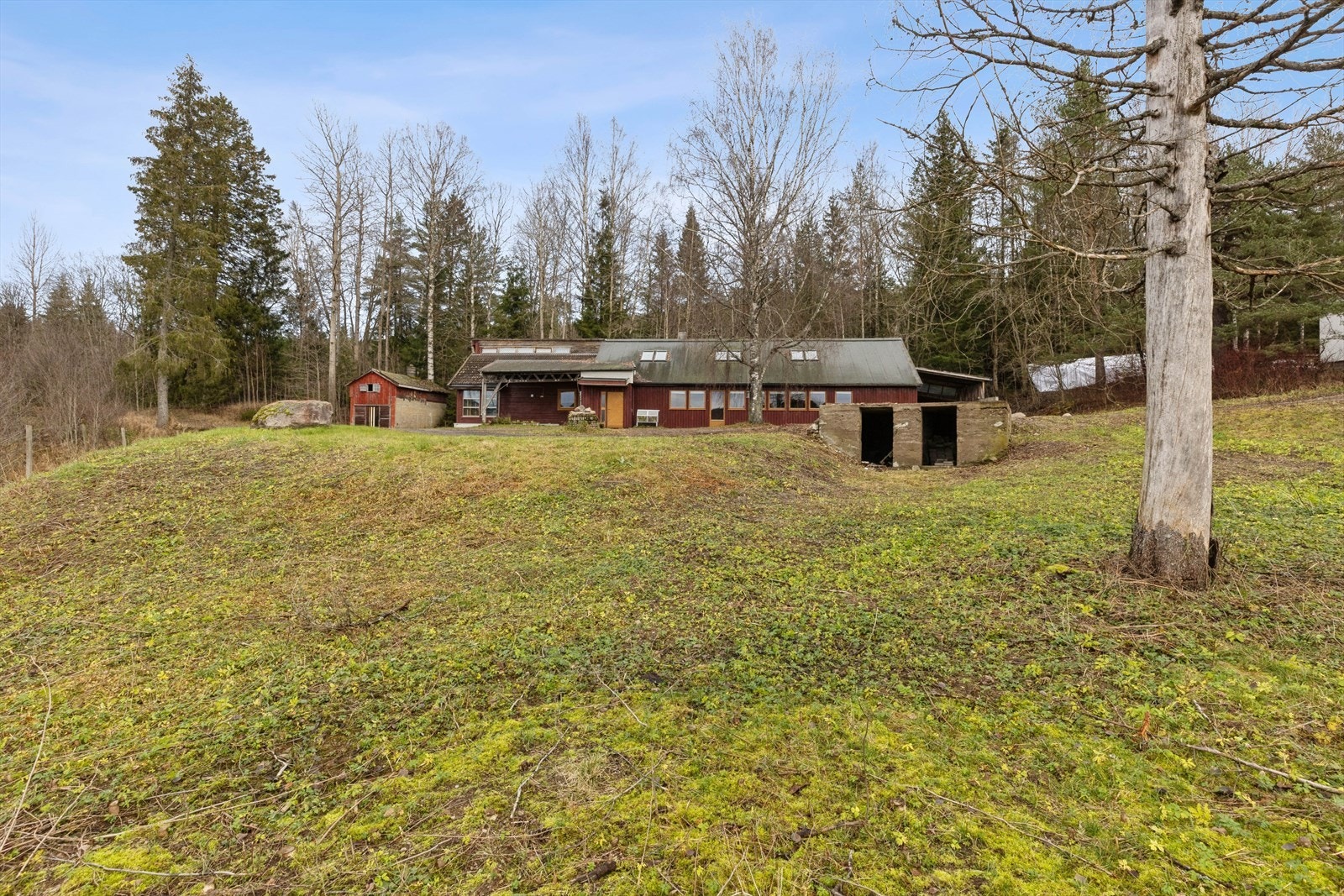 Velkommen til visning! Galleribilde