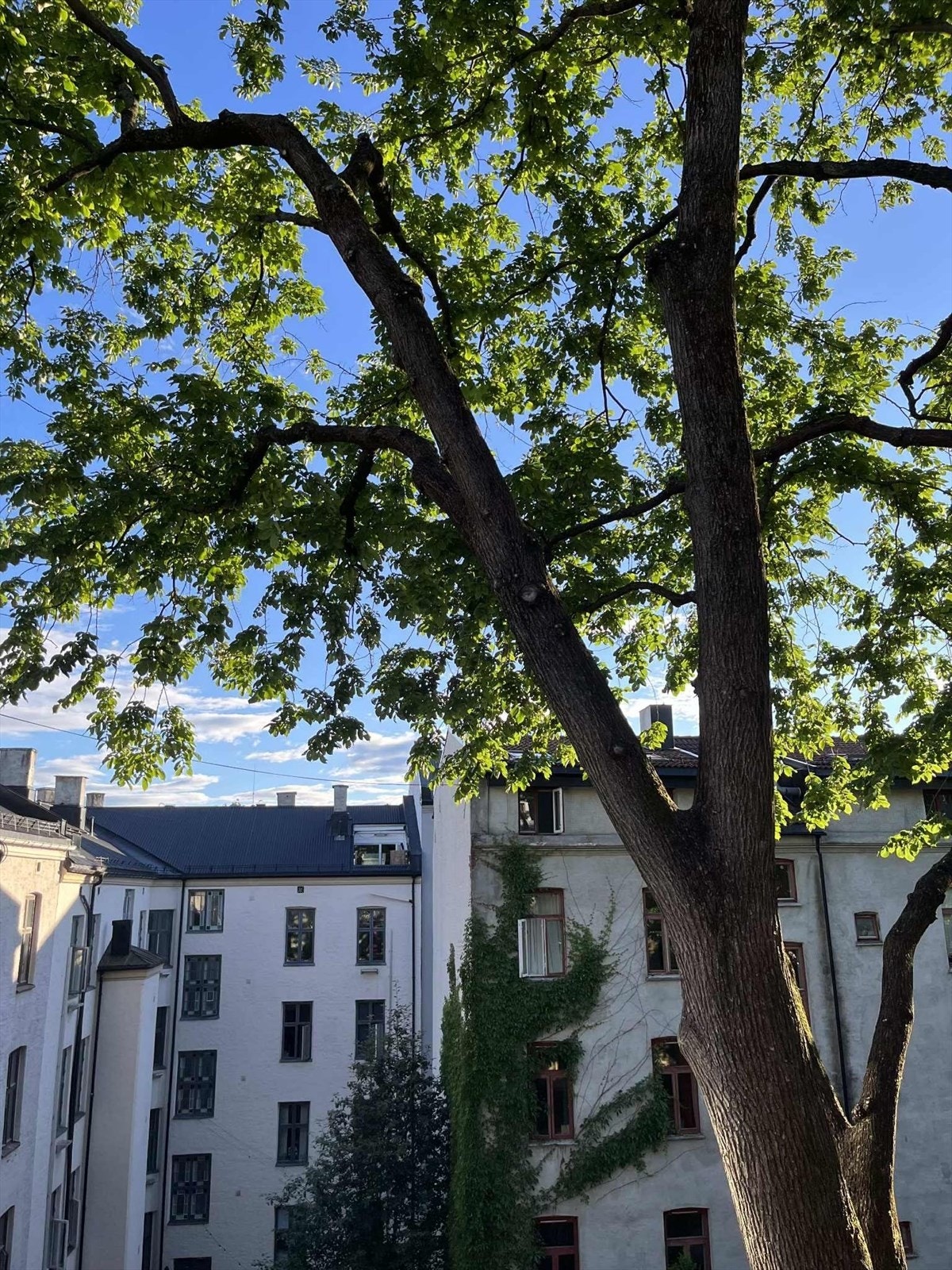 Selgers private bilde, utsikt bra balkongen. Galleribilde