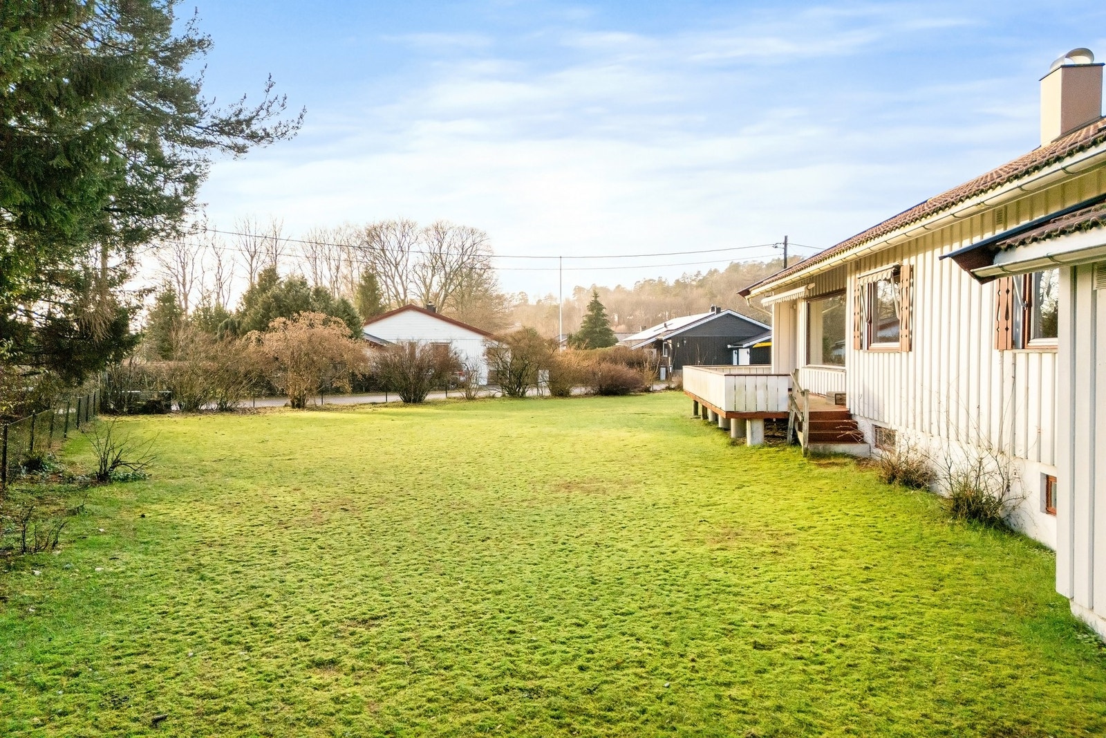 Stor hage er perfekt for små, firbeinte og store - perfekt for blant annet ballek Galleribilde