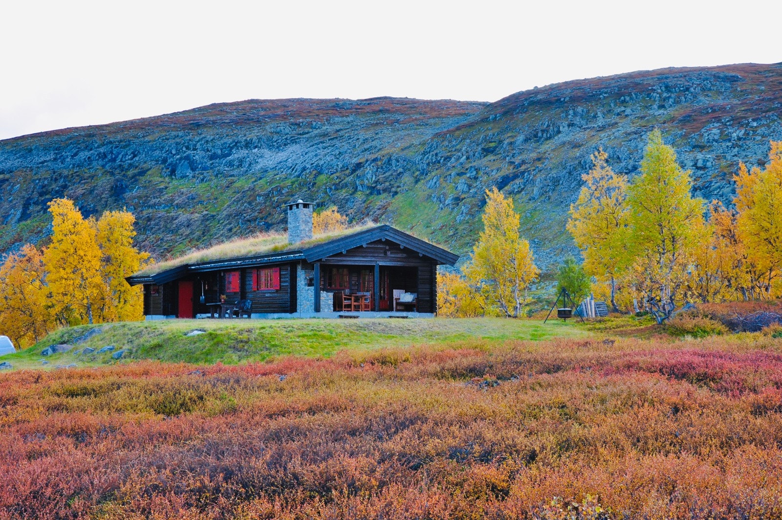 Like fint hele året. Galleribilde