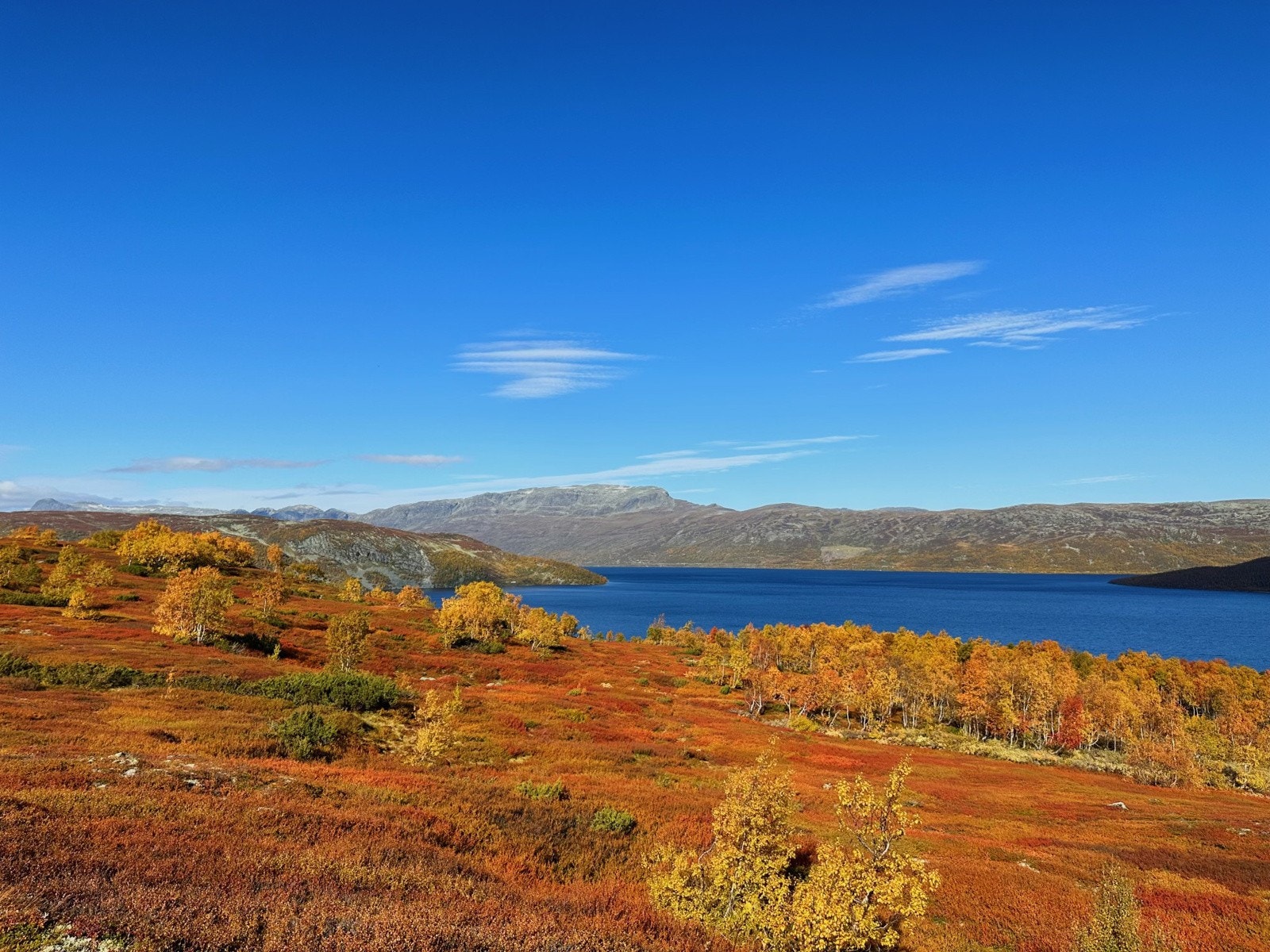 Nydelig utsikt fra hytta man aldri går lei! Galleribilde