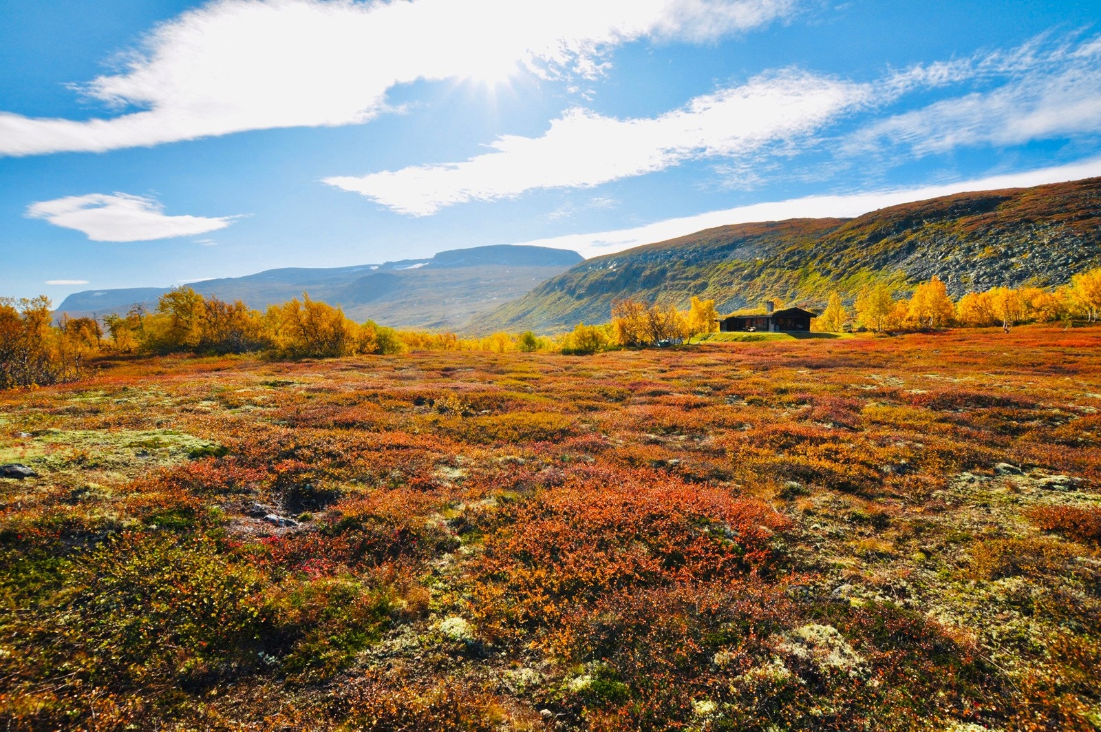 Flott natur på alle kanter. Galleribilde