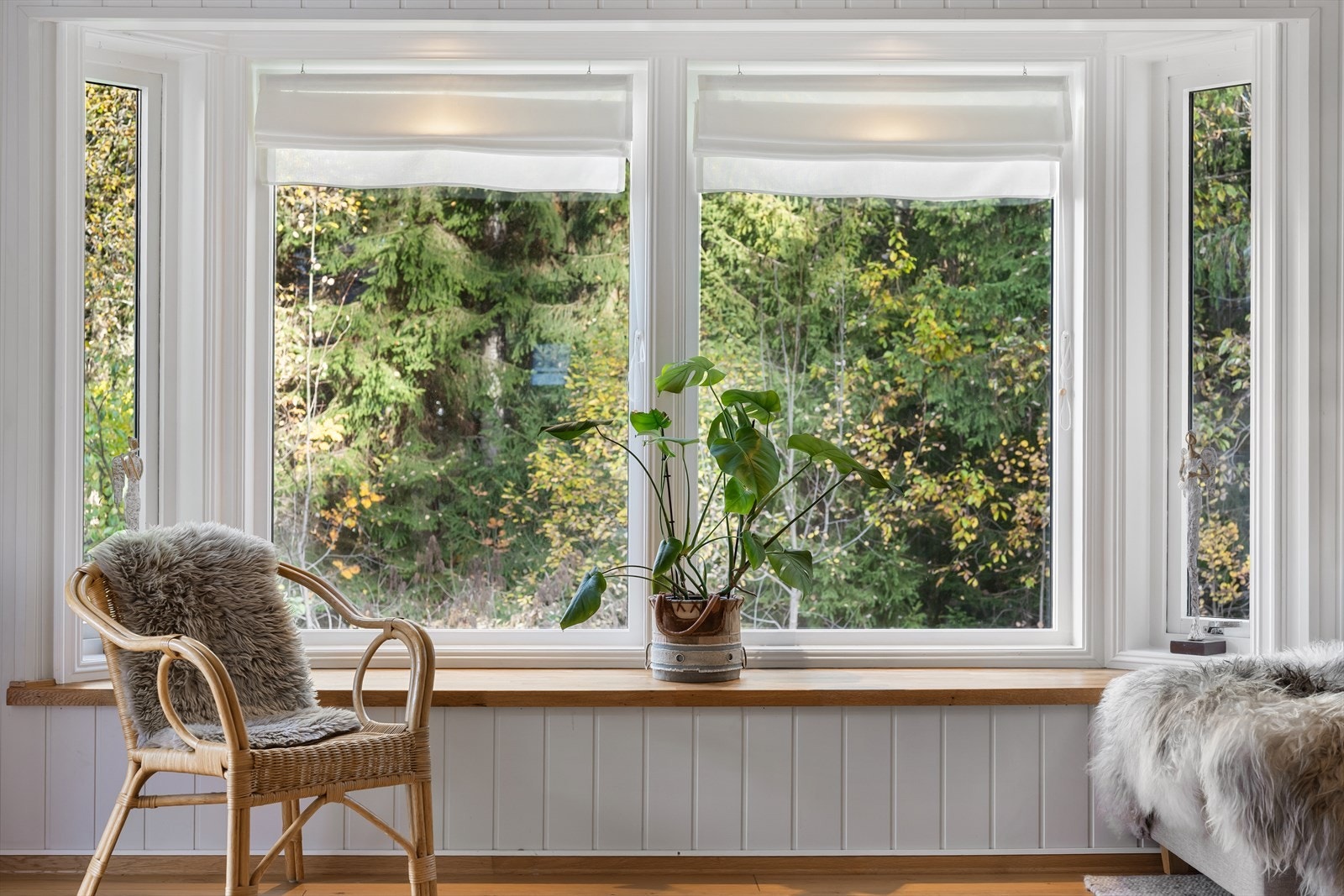 Vinduene i stuen vender ut mot grønne omgivelser uten innsyn. Galleribilde