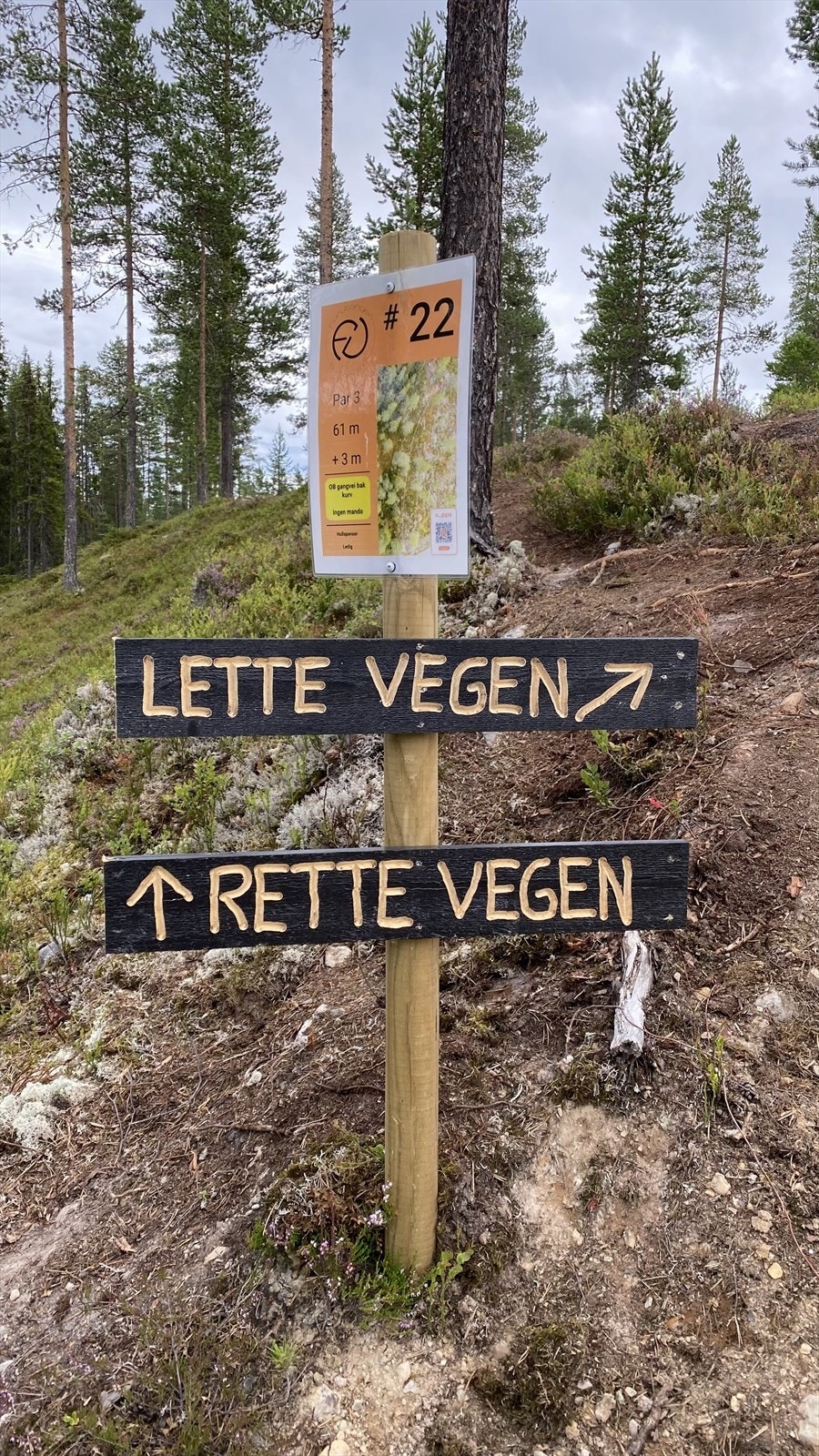 Her finner du nybegynnervennlige hull i begynnelsen av banen, og mer utfordrende hull på slutten. Galleribilde