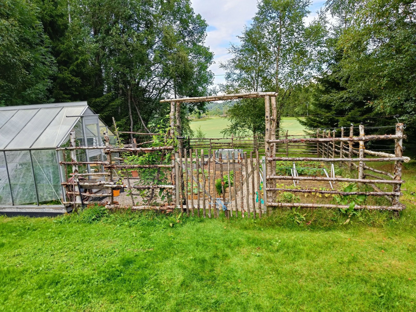 Grønnsakshage på hele 130 m2...... Galleribilde