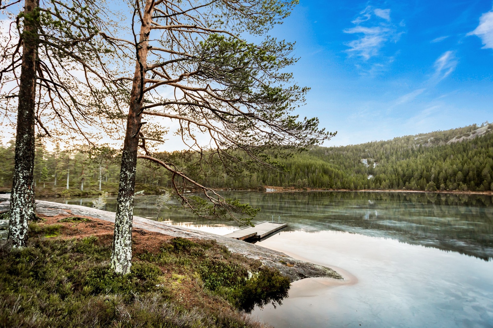 Det er mange plasser man kan finne Galleribilde