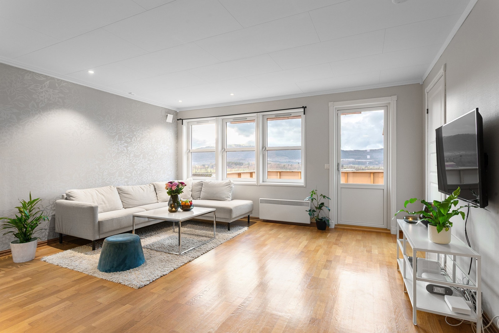 Utgang fra stuen til altan Galleribilde