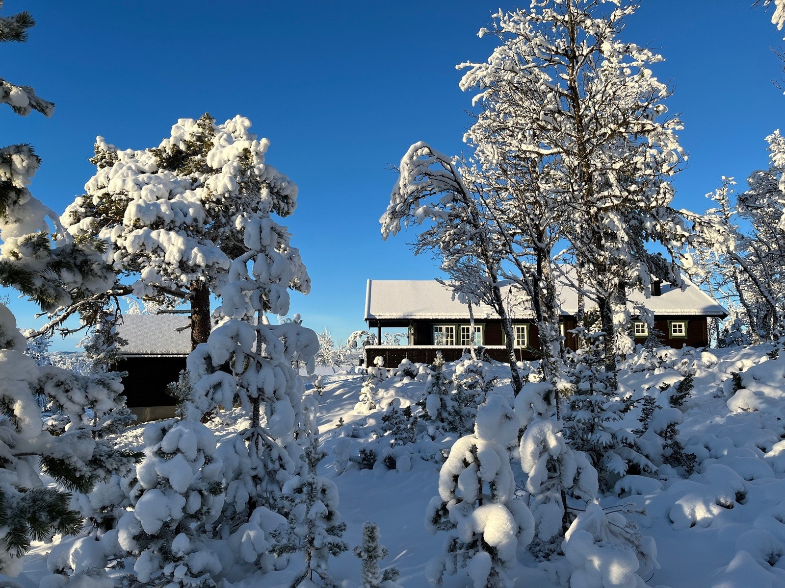 Velkommen til Trondrudmarka 478! Foto: selgers eget bilde Galleribilde