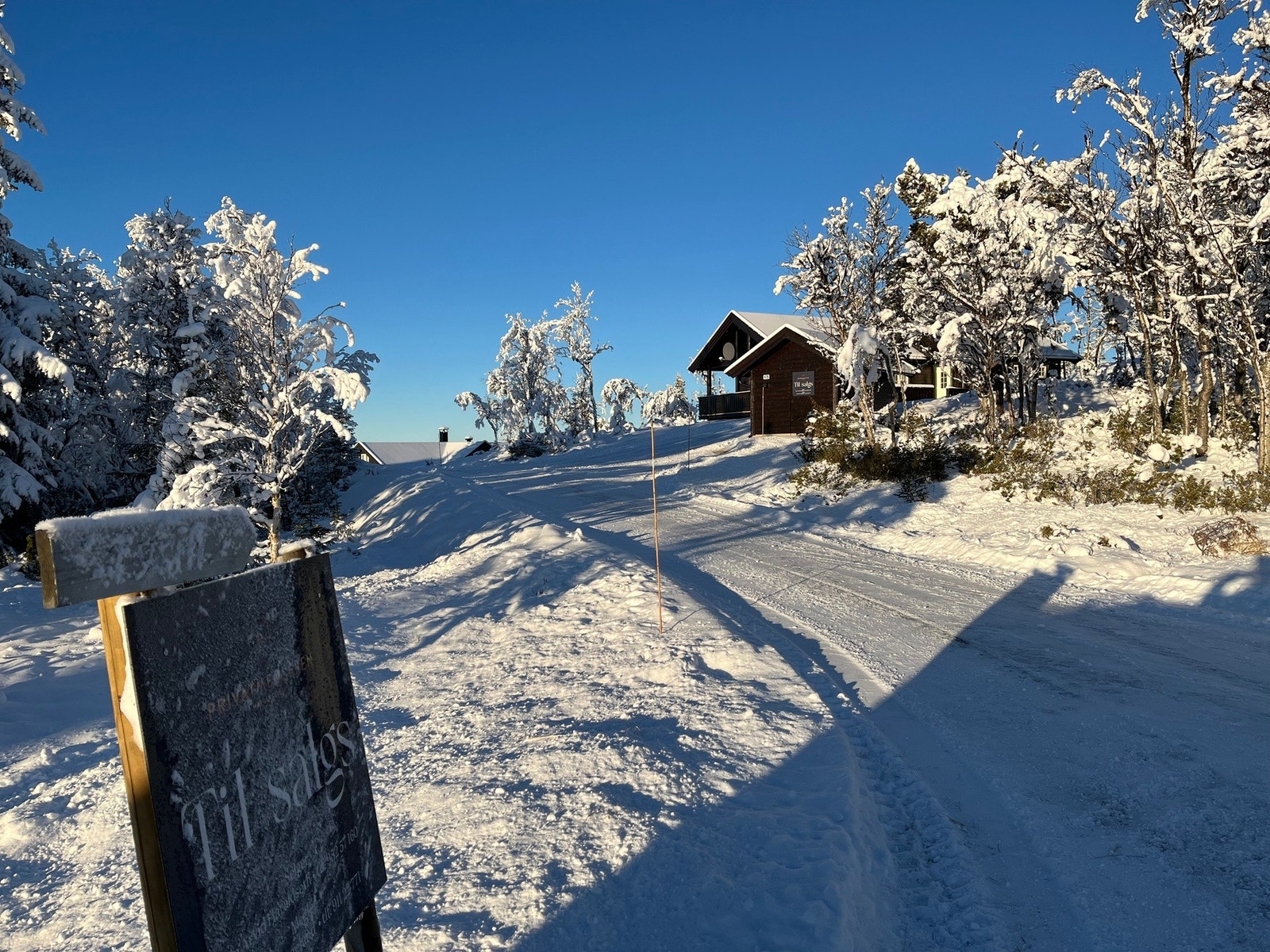 Hytta ligger høyt og fritt, omgitt av vakker natur og med rolig atmosfære. Foto: selgers eget bilde Galleribilde