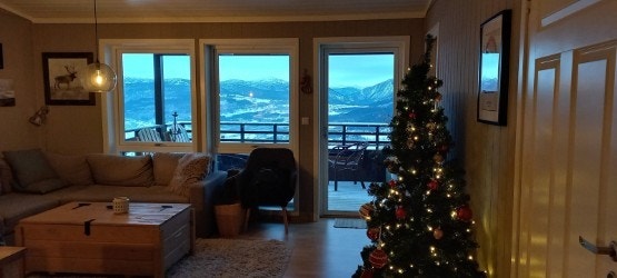 Stue med juletre gir en rolig og varm førjulsstemning. Galleribilde