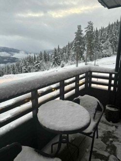 Leiligheten byr på ski inn/ut i Alpha løypen. Galleribilde