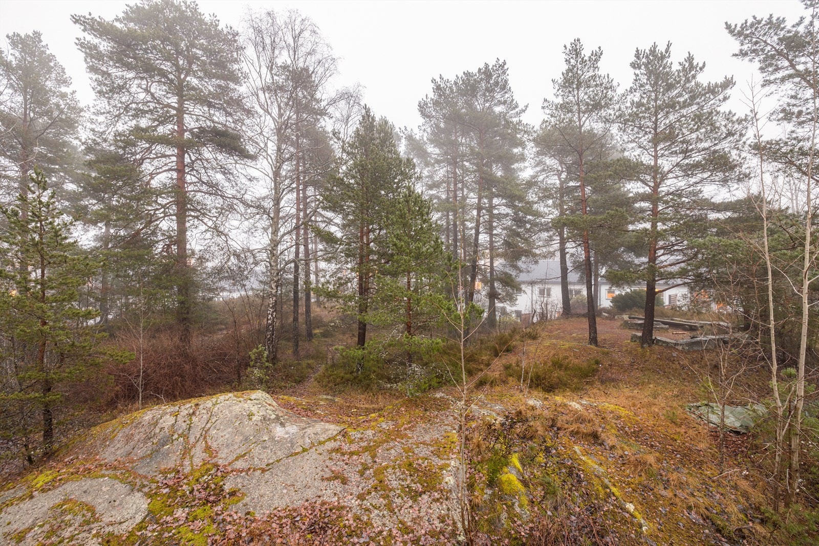 Flere stier og grøntområder rett utenfor boligen Galleribilde