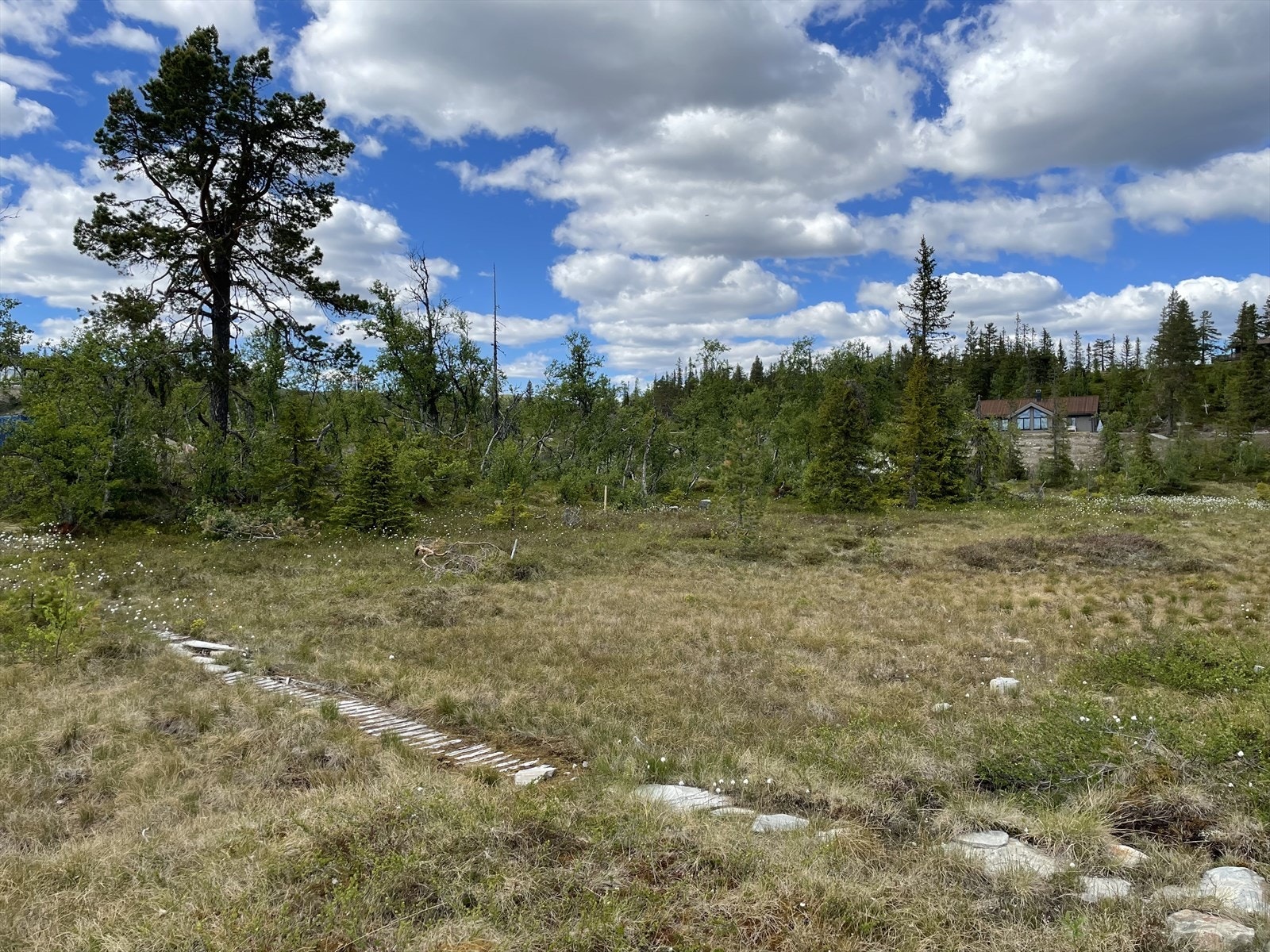 Bilde tatt fra Drømmekollen Galleribilde