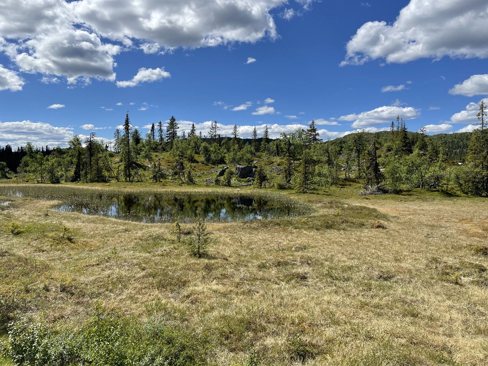 Bilde tatt fra Jegerstubben Galleribilde