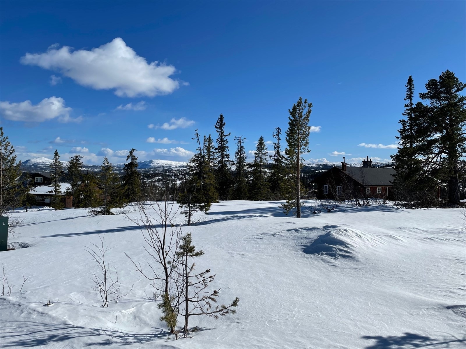 Bilde fra Lakahaugen Galleribilde