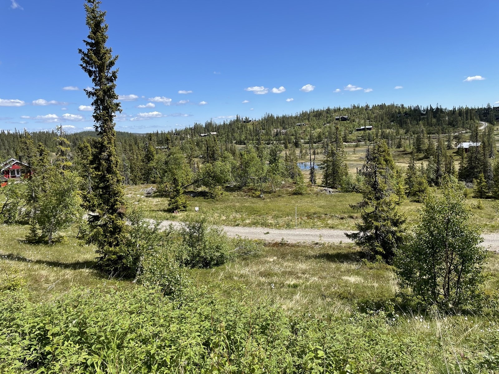 Bilde tatt fra Kråkås Galleribilde