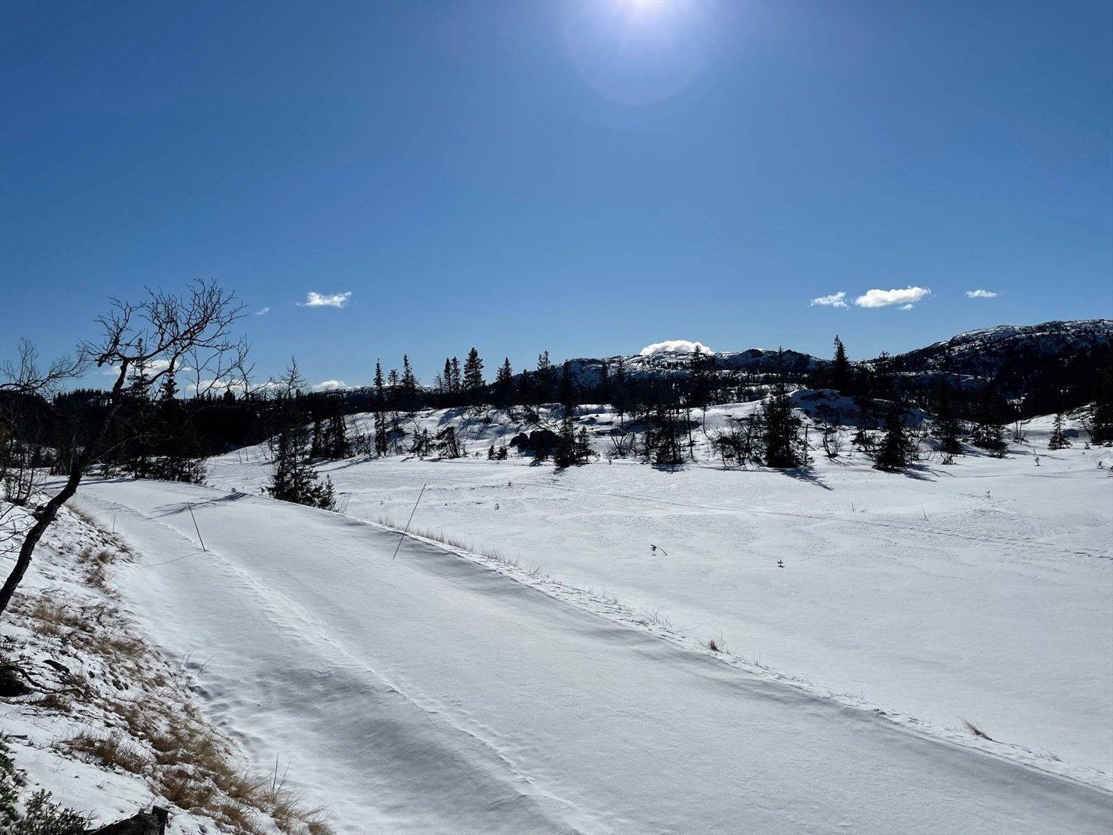 Bilde fra Jegerstubben Galleribilde