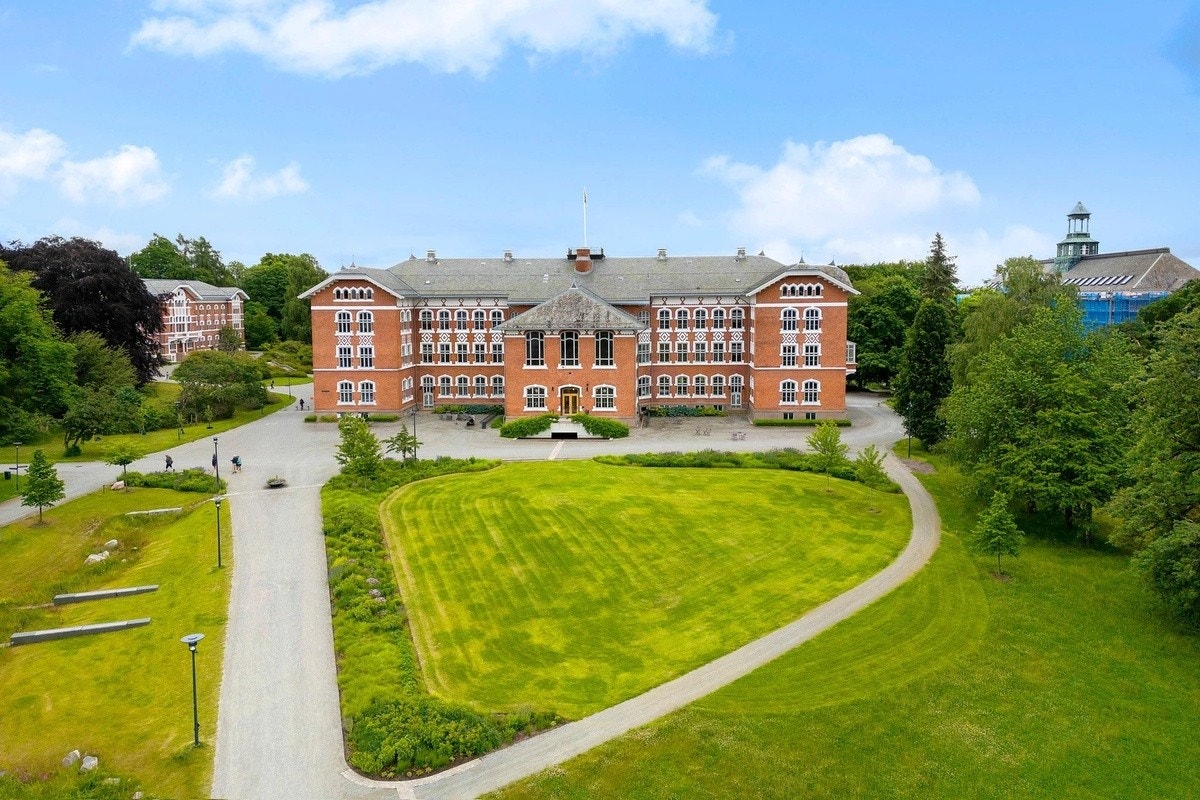 Kun 5-10 min å gå til NMBU fra huset. Galleribilde