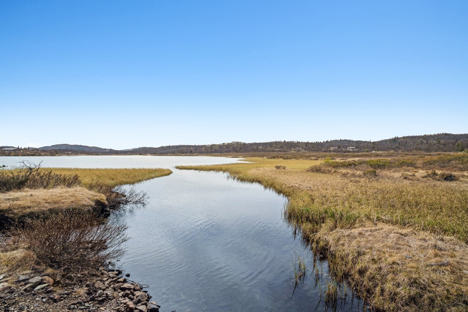 Fra Briskrudtjønne Galleribilde
