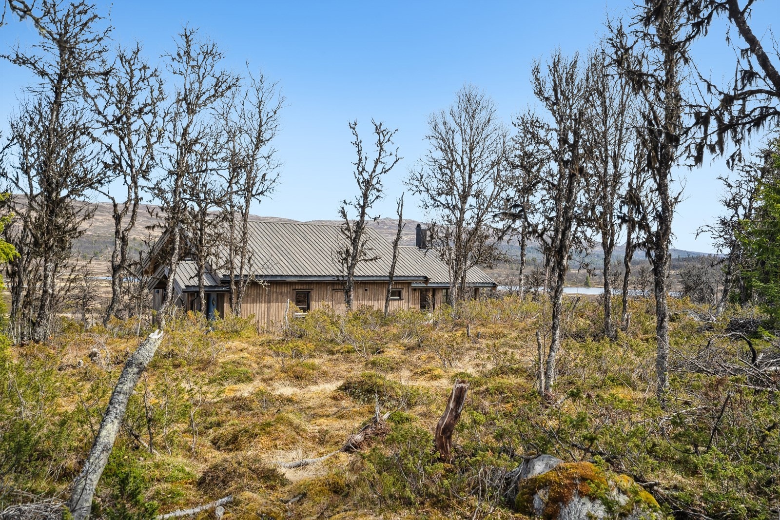 Hytta ligger fint til i terrenget og du kan følge turstier fra hytta. Galleribilde
