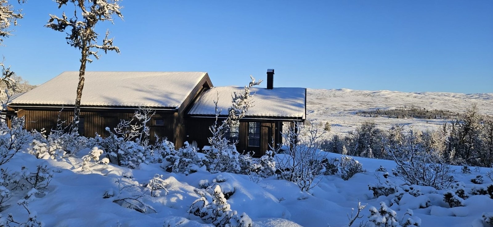 Hytta ligger i flott høyfjellsterreng med utsikt til vann og fjell. Galleribilde