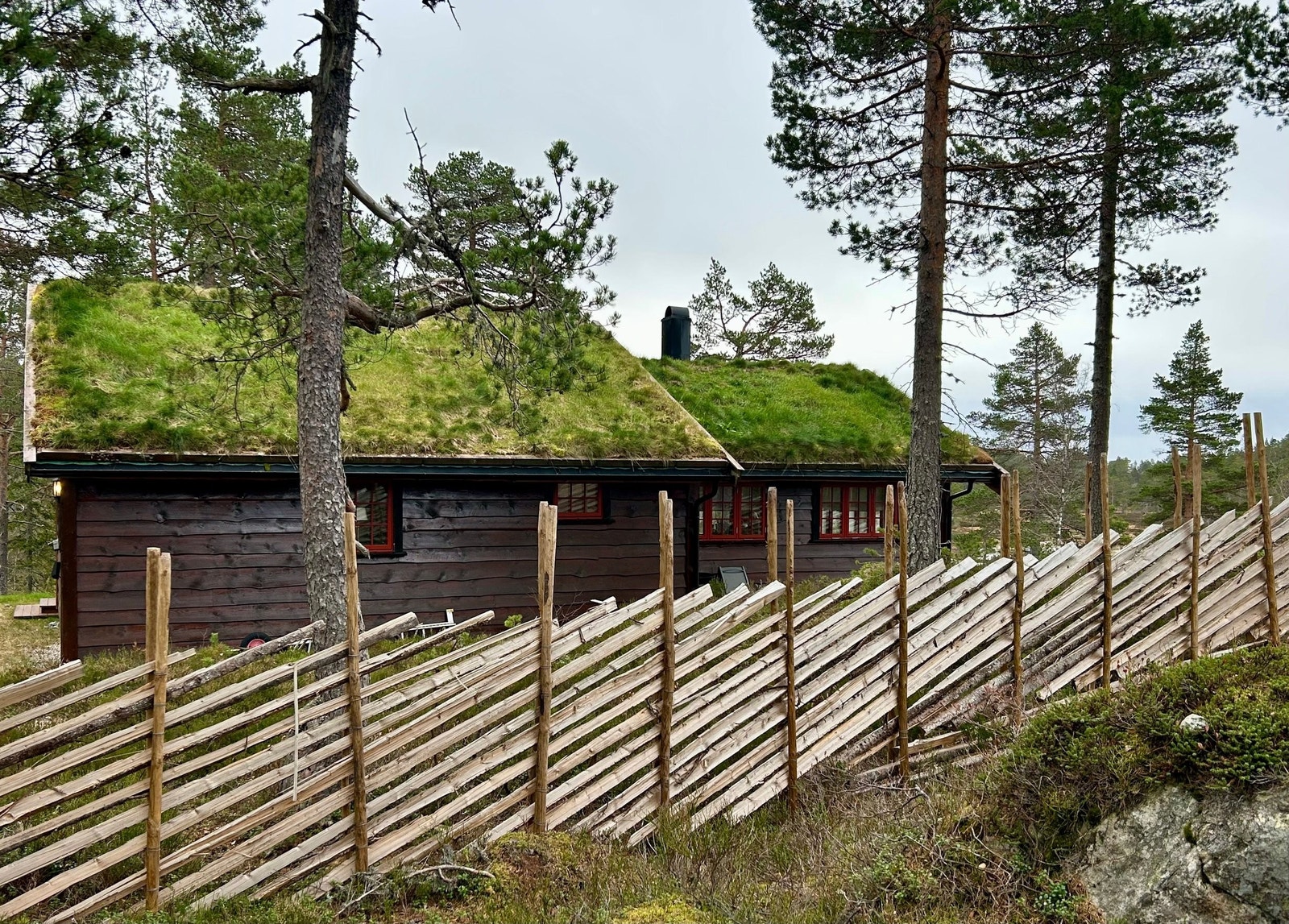 60 meter skigard langs tomtegrensa mot nabohytte, satt opp høsten 2024 Galleribilde