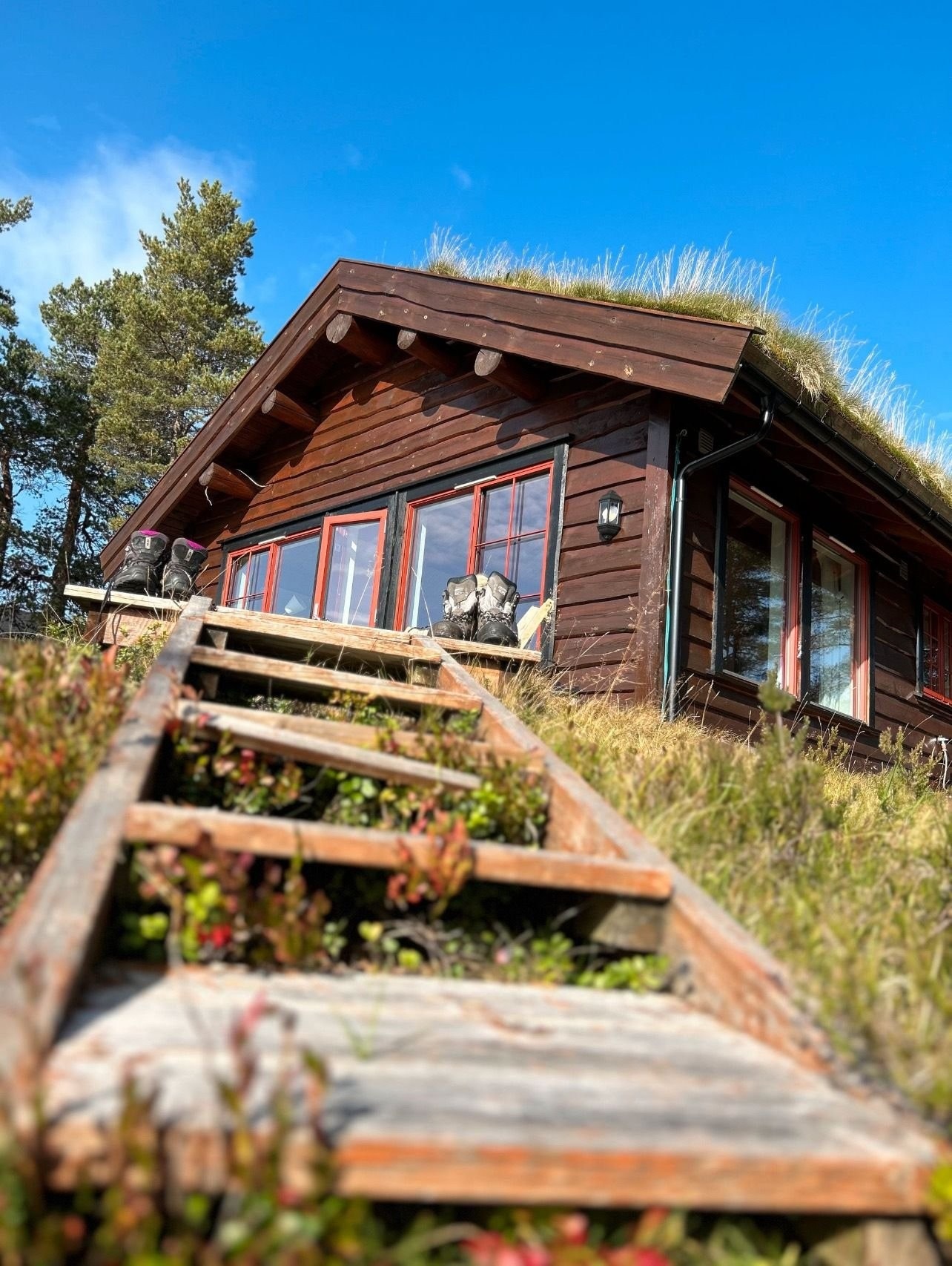 Koselig hytte, i fint terreng. Galleribilde