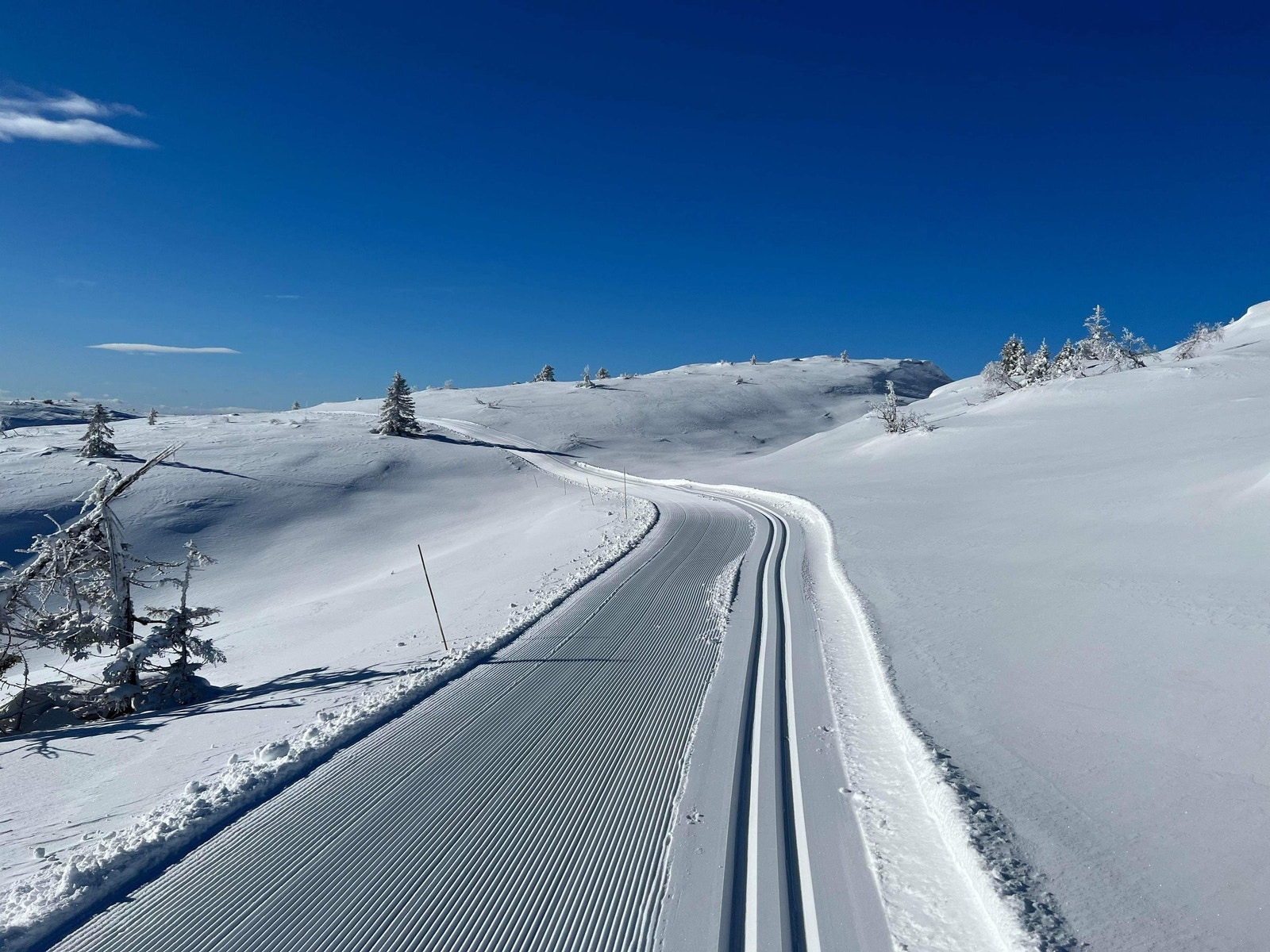 Flotte skiløyper kjøres opp hele vinteren. Galleribilde