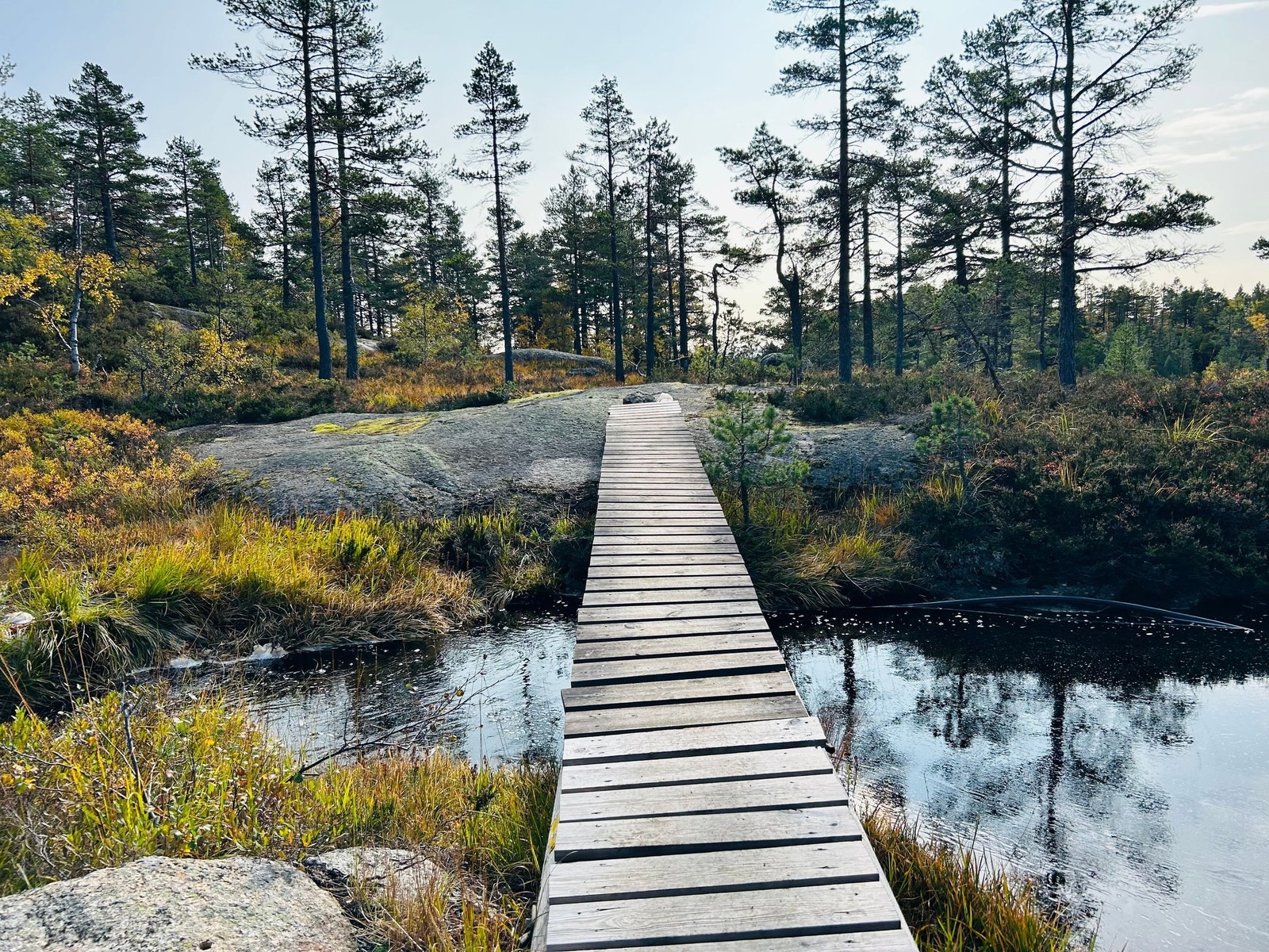 Hilestadheia har vakker natur og flotte turløyper. Galleribilde