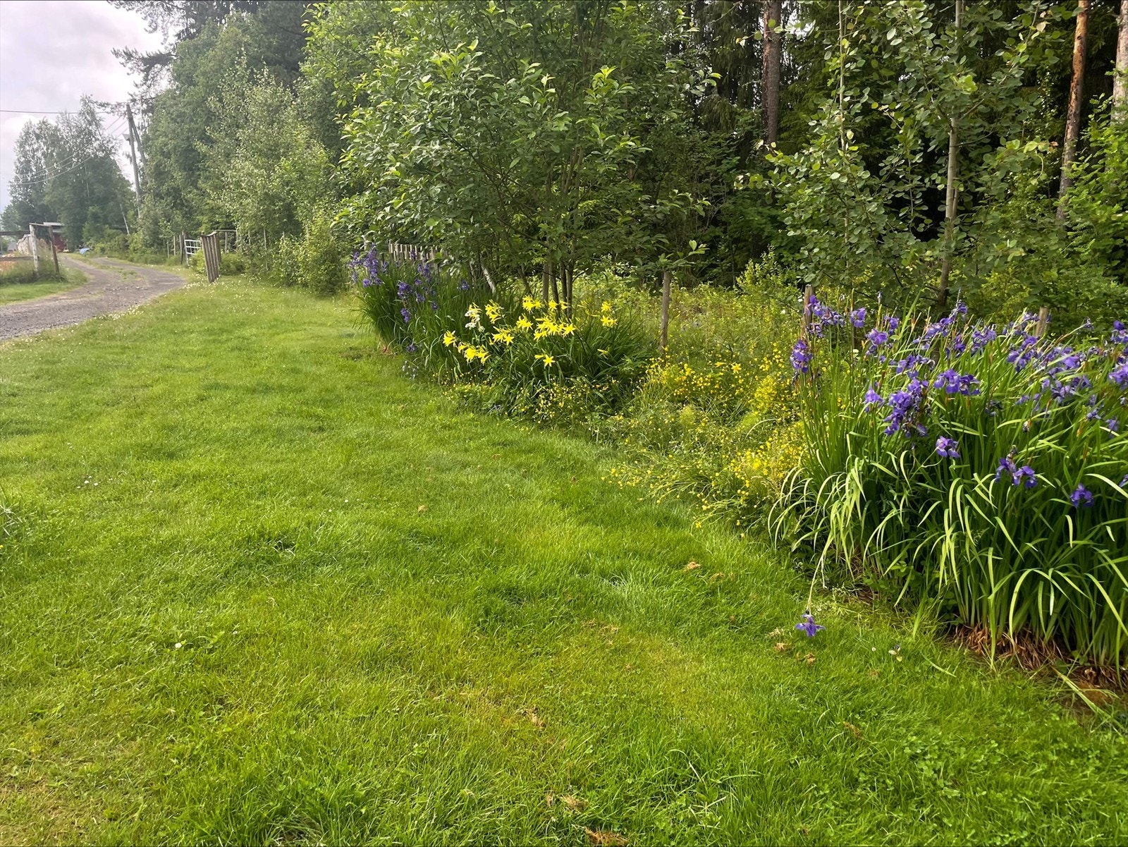 Selgers egne sommerbilder. Galleribilde