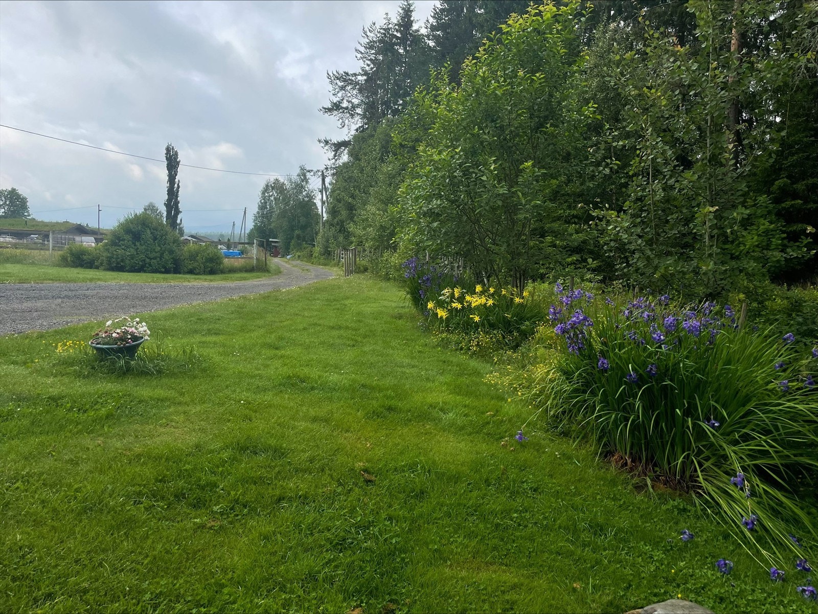 Selgers egne sommerbilder. Galleribilde