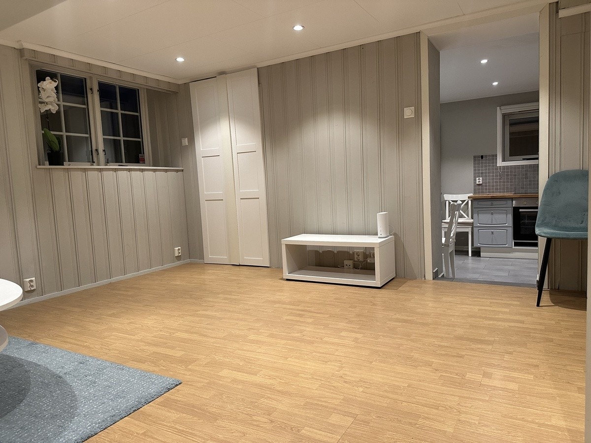 Opplegg for TV Galleribilde